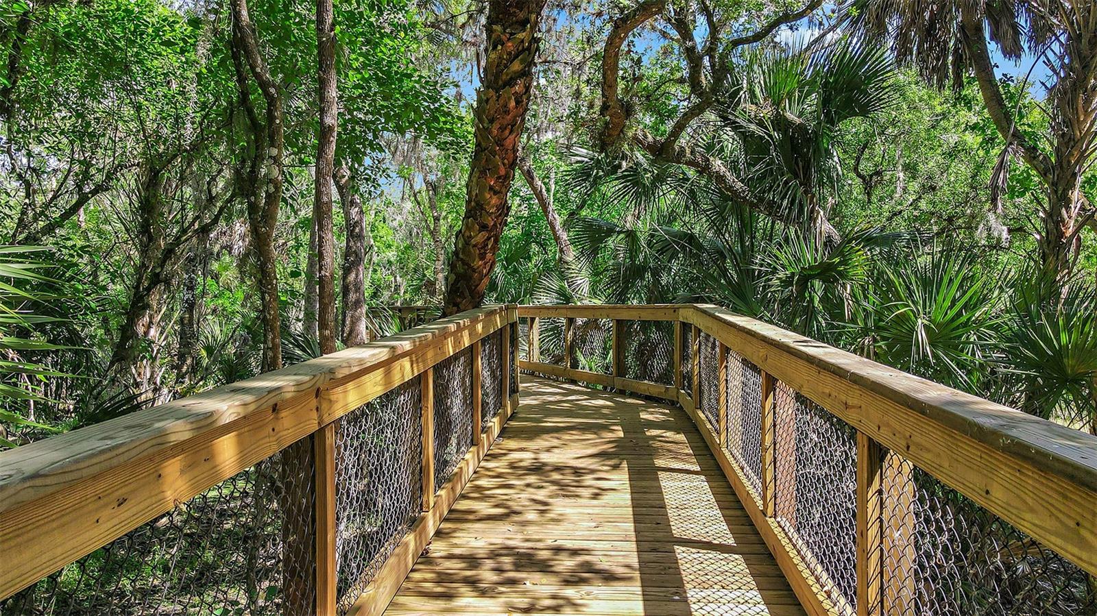 Image 19 of 96 For 10863 Eclipse Street