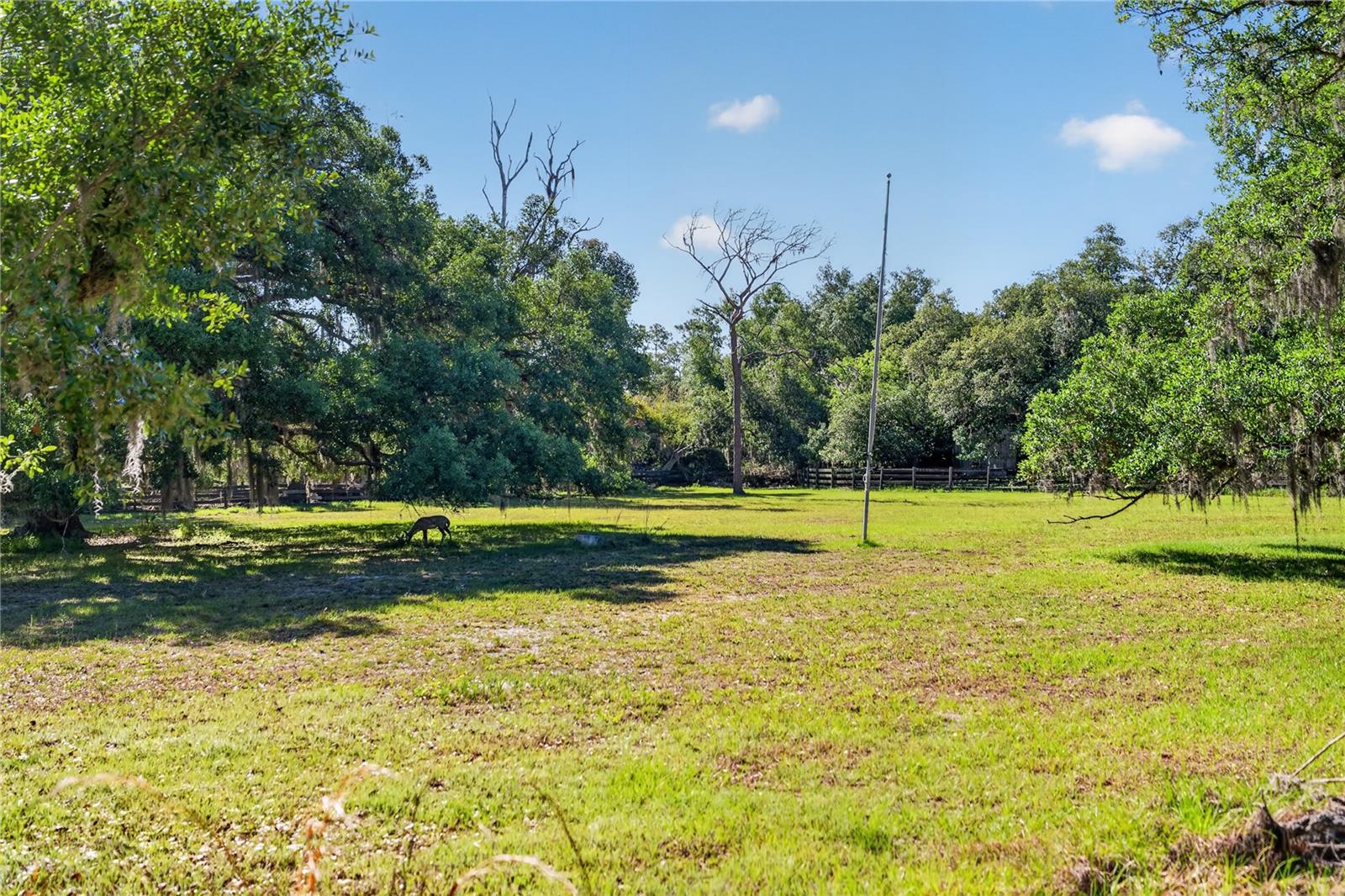 Image 14 of 45 For 3711 Hidden River Road