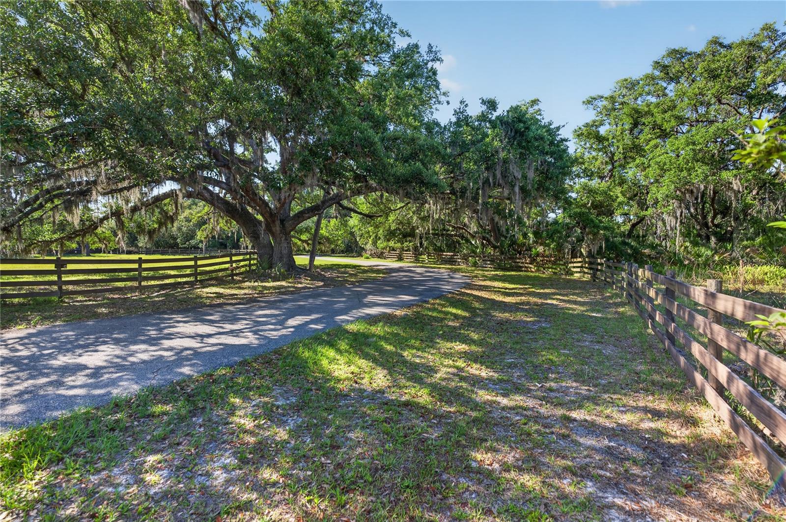 Image 18 of 45 For 3711 Hidden River Road