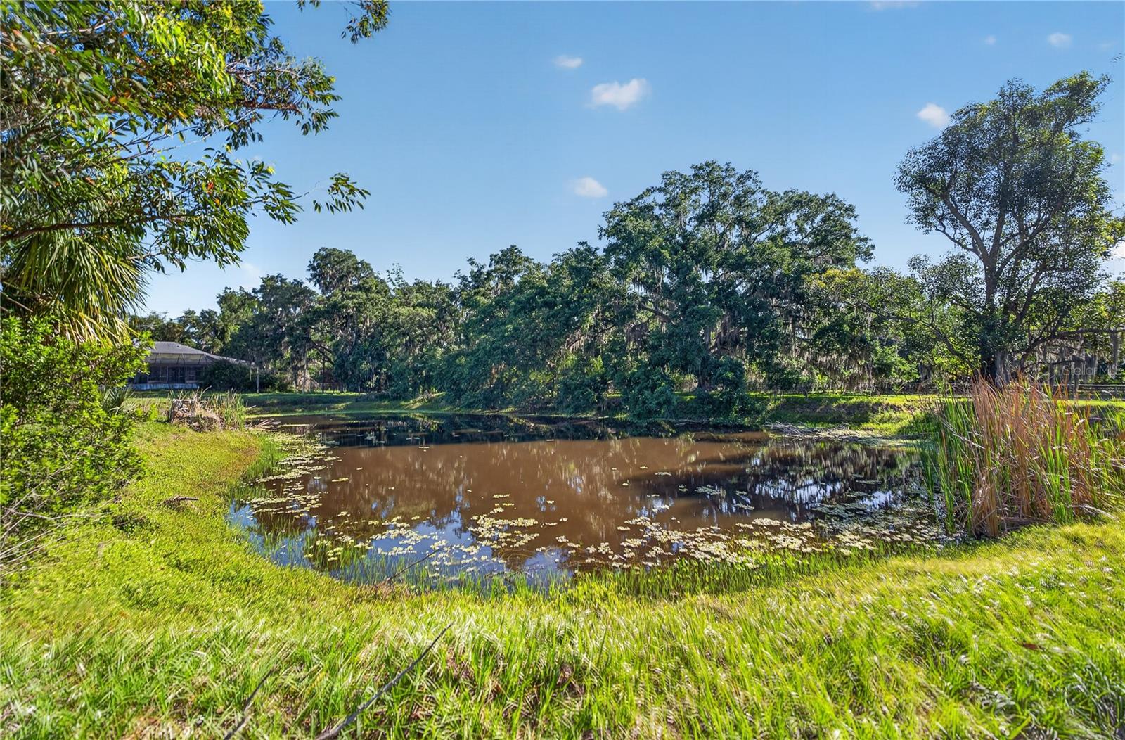 Image 3 of 45 For 3711 Hidden River Road