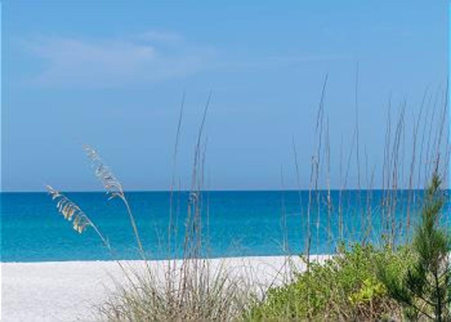 Image 51 of 51 For 1801 Gulf Drive N 293