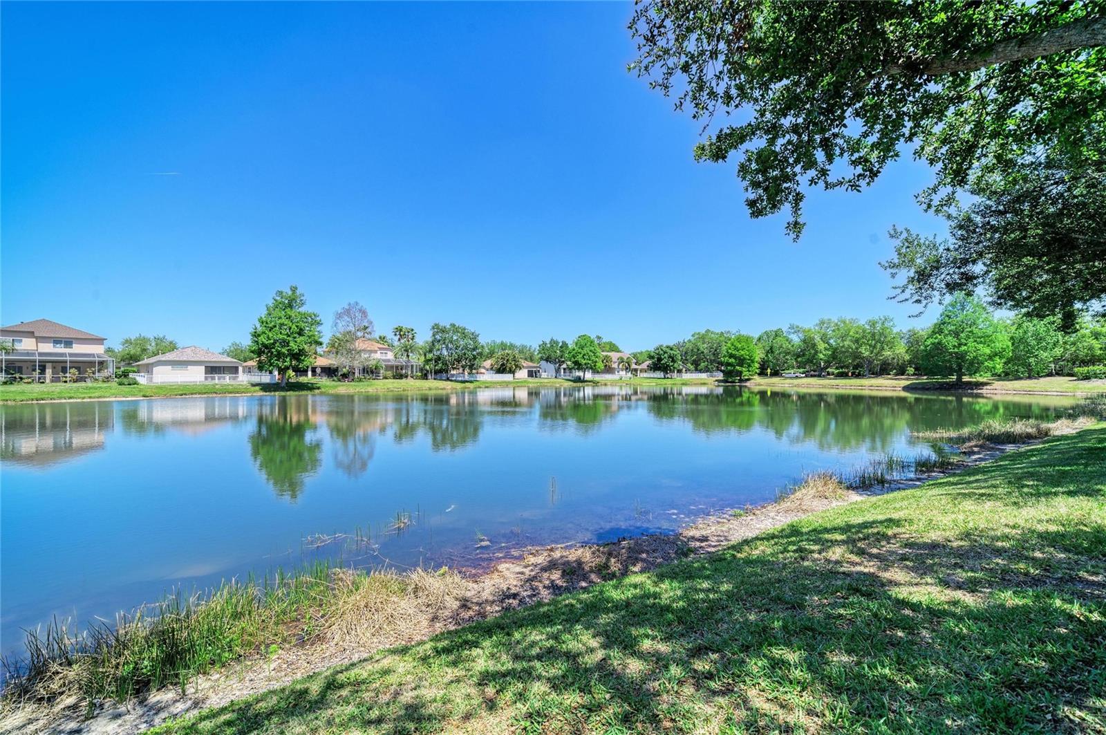 Image 36 of 47 For 14830 Skip Jack Loop