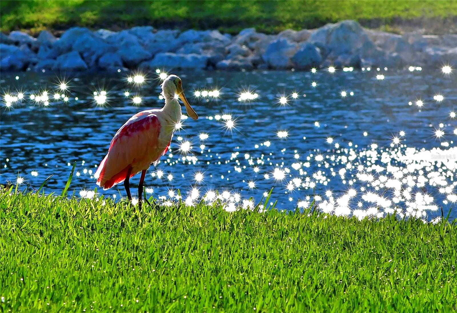 Image 7 of 43 For 4857 Independence Drive