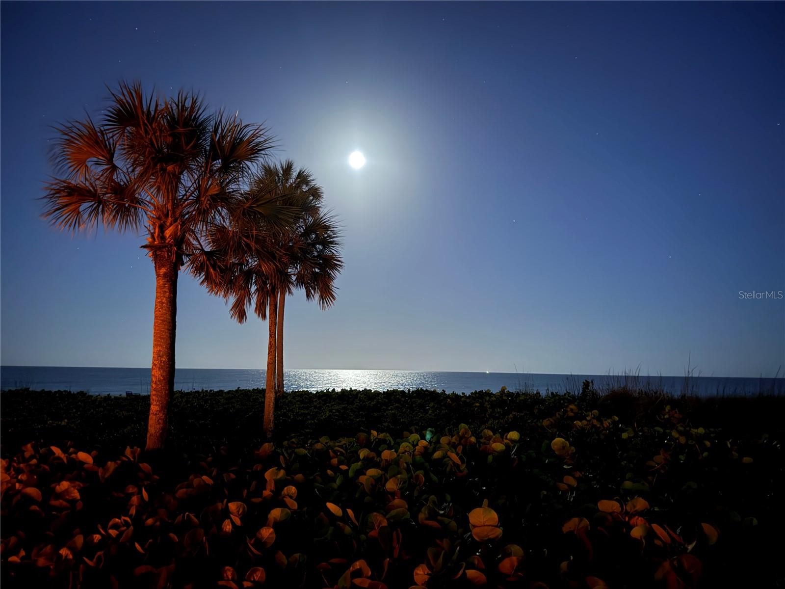 Image 29 of 29 For 5591 Gulf Of Mexico Drive 4