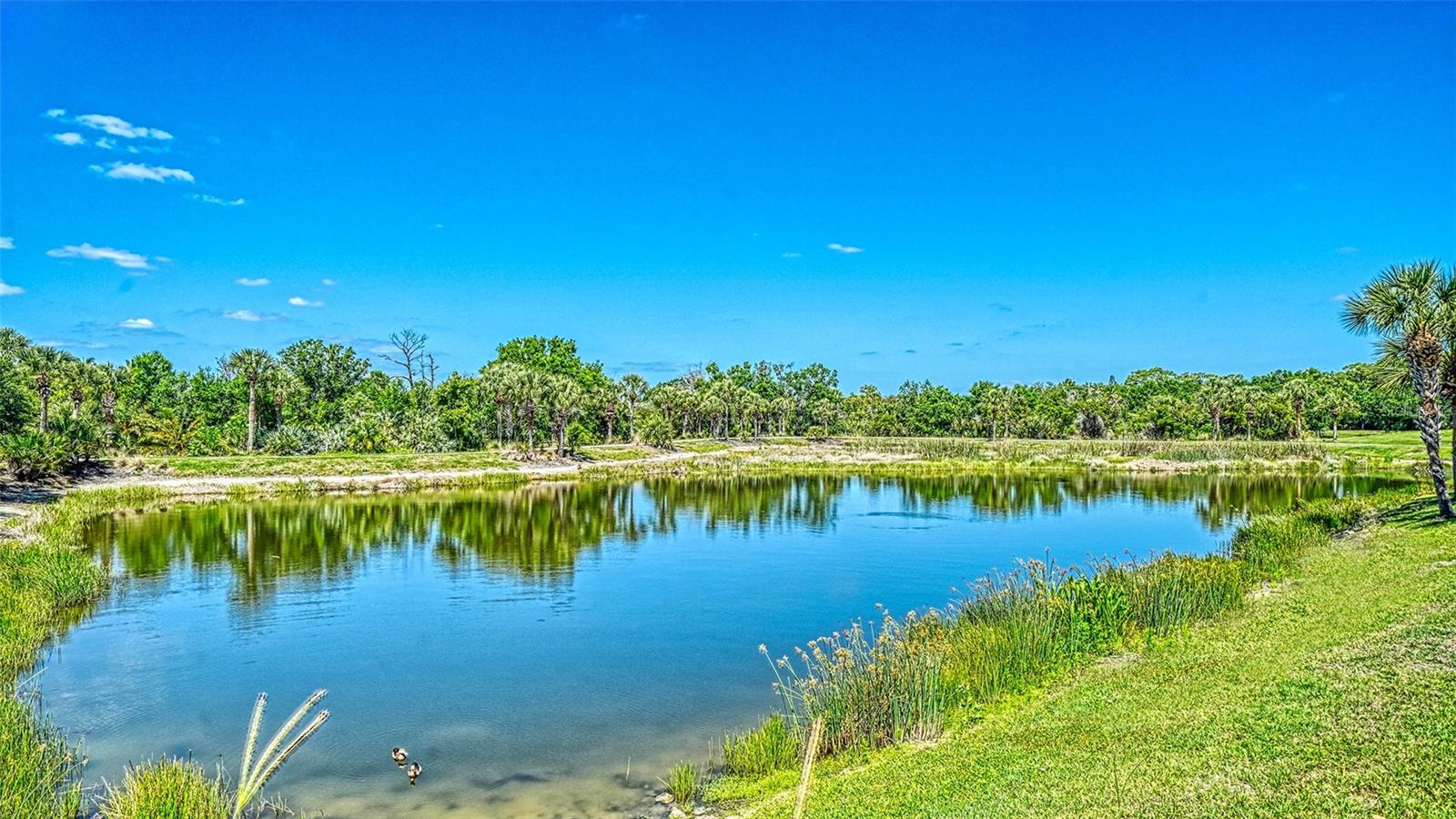 Image 45 of 53 For 1424 Blue Horizon Circle