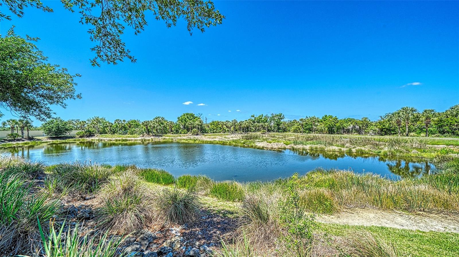 Image 52 of 53 For 1424 Blue Horizon Circle