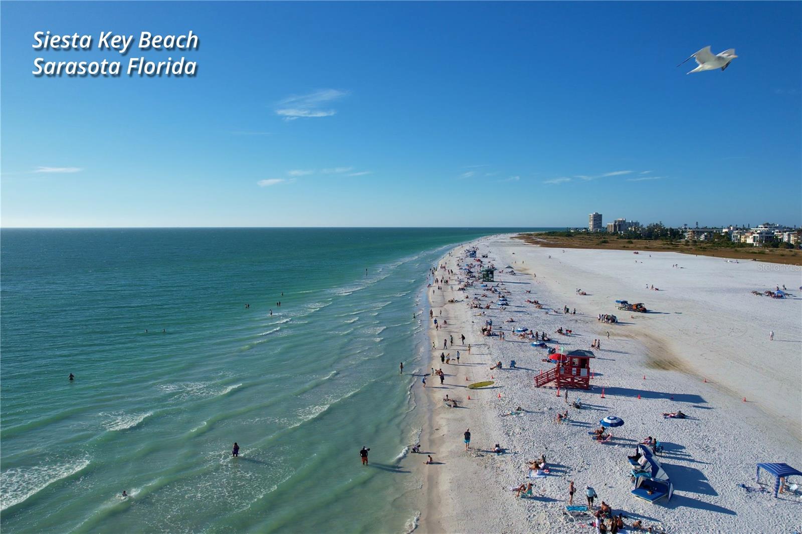 Image 69 of 69 For 630 Corwood Drive