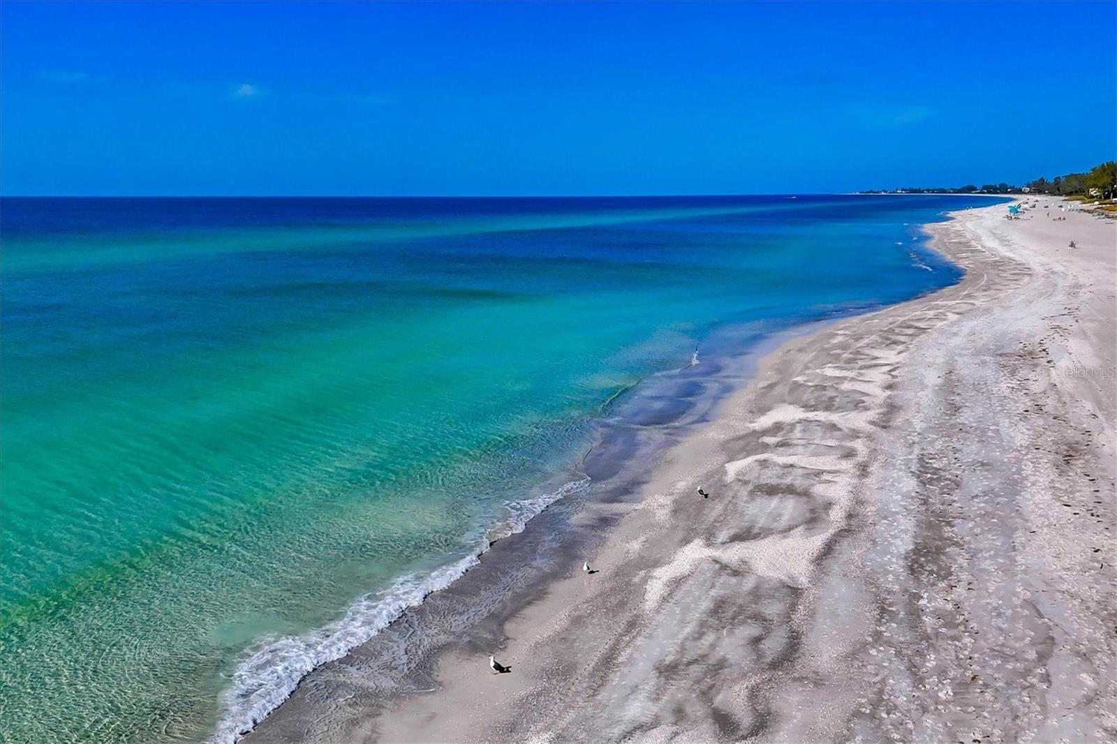 Image 46 of 50 For 4485 Gulf Of Mexico Drive 804