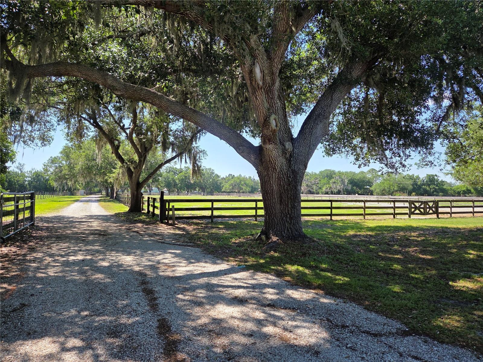 Image 2 of 65 For 7783 Saddle Creek Trail