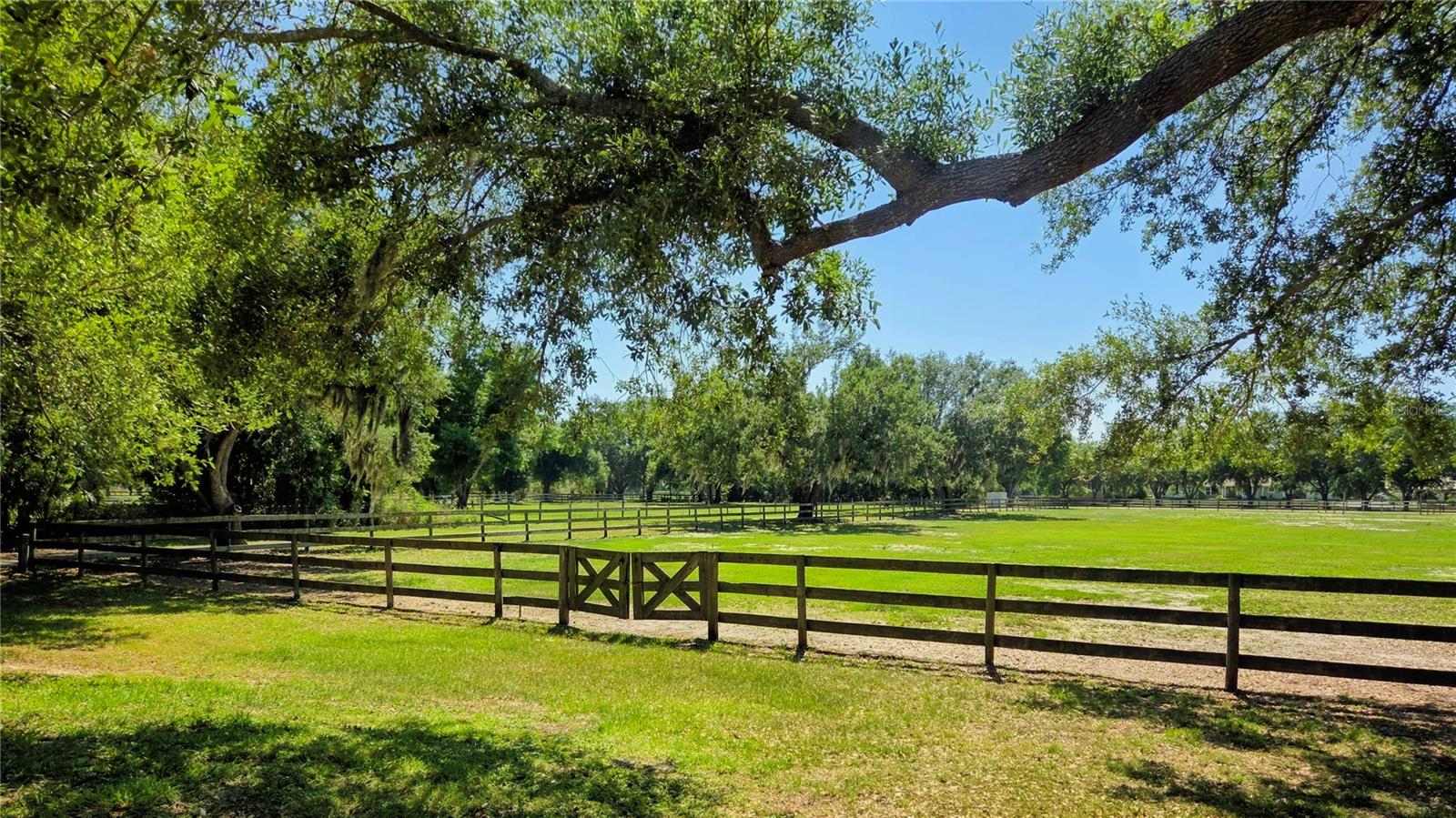 Image 3 of 65 For 7783 Saddle Creek Trail