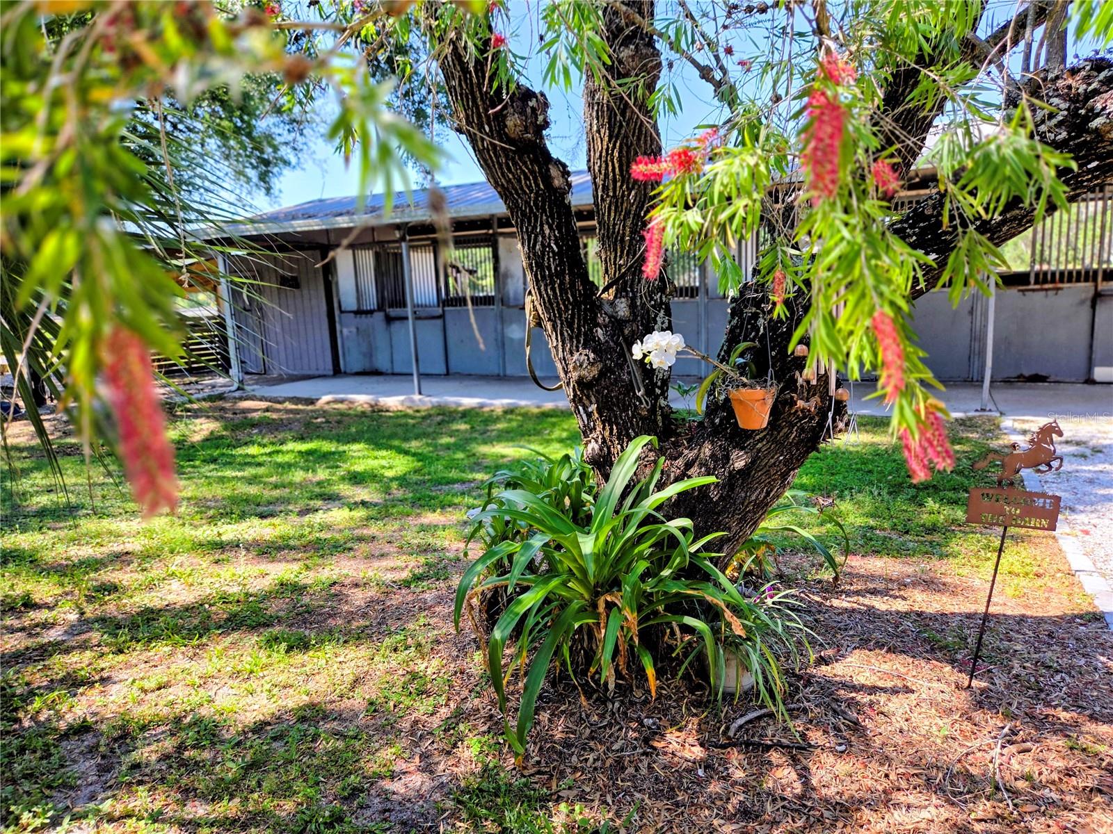 Image 51 of 65 For 7783 Saddle Creek Trail