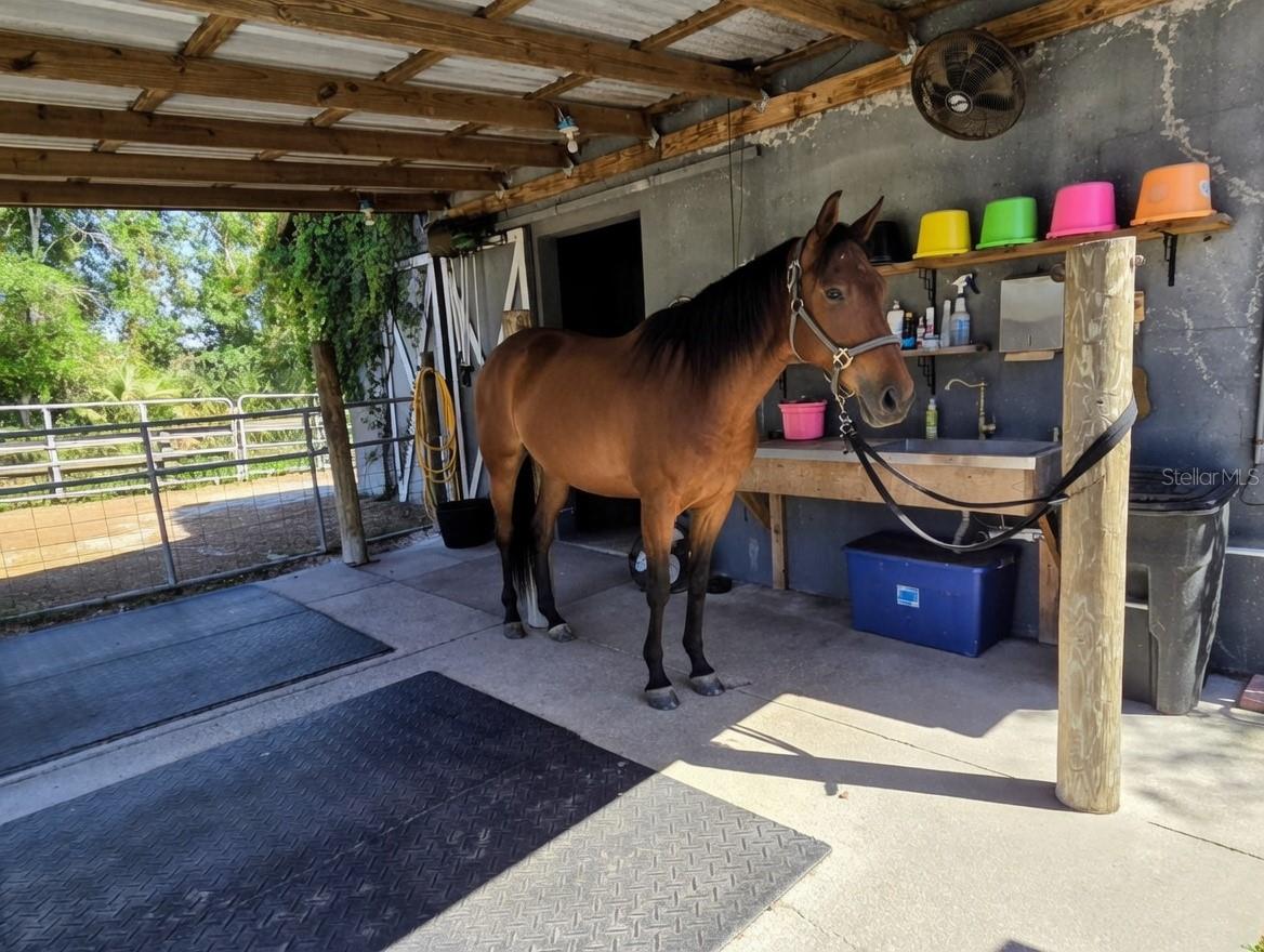 Image 62 of 65 For 7783 Saddle Creek Trail