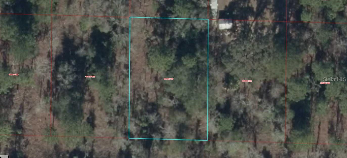 Details for 0930201700 16th Lane, WILLISTON, FL 32696