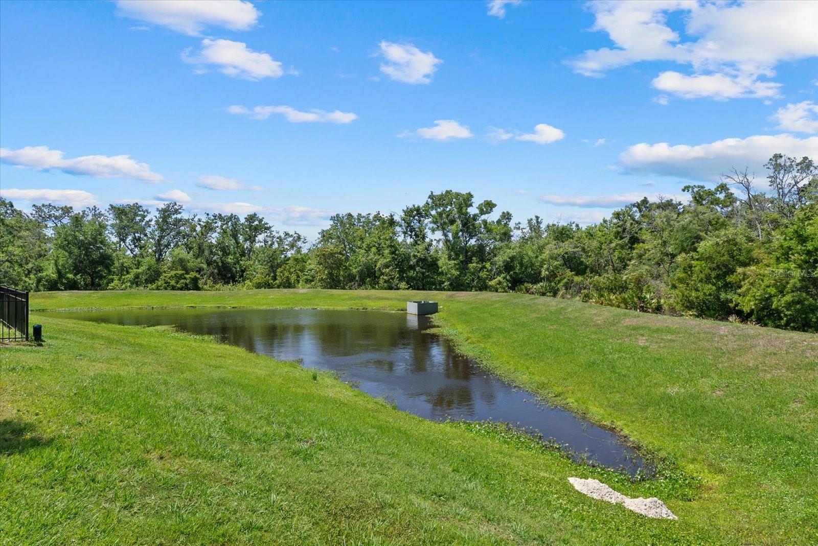 Image 42 of 51 For 13989 Lilac Sky Terrace
