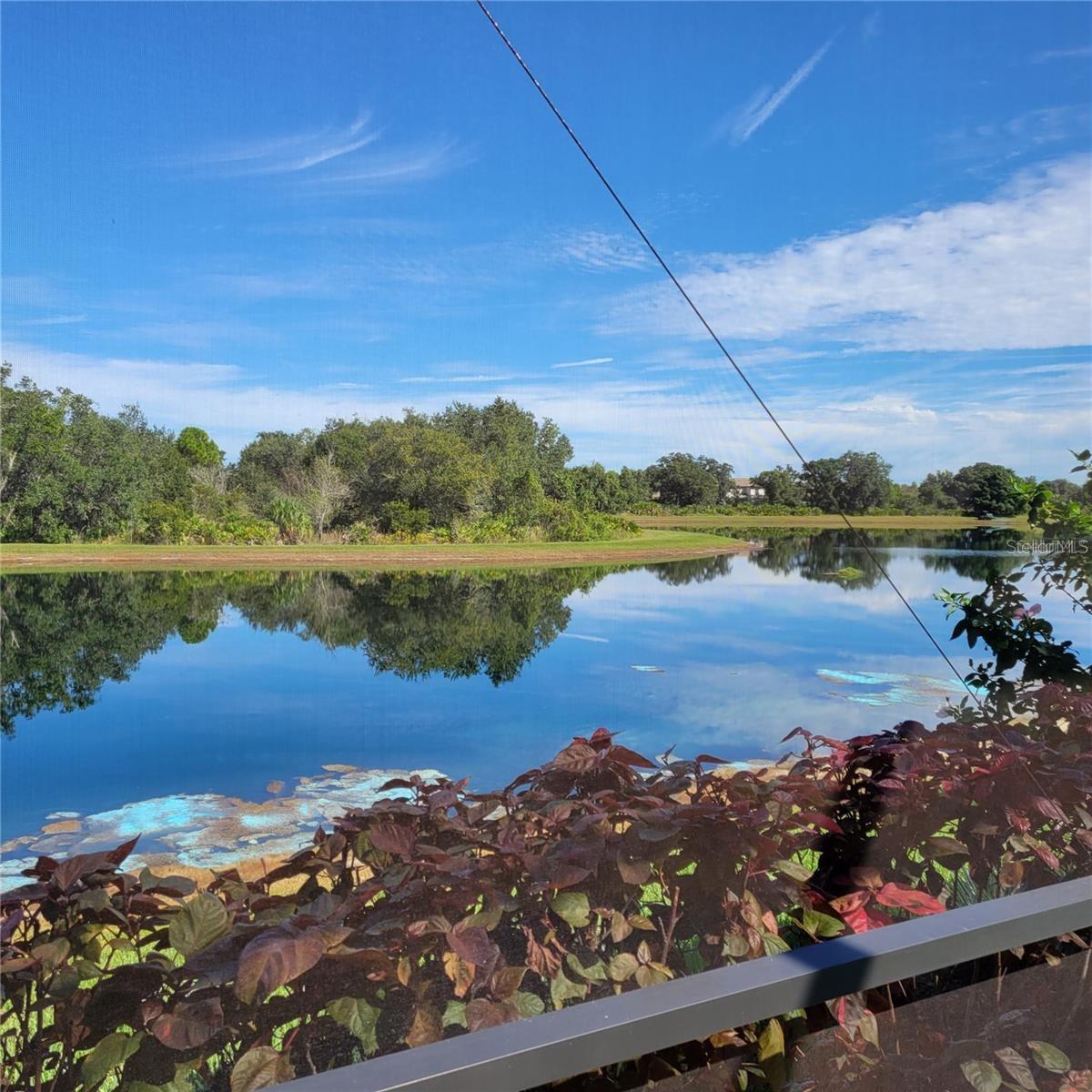 Image 28 of 44 For 17335 Blue Ridge Place