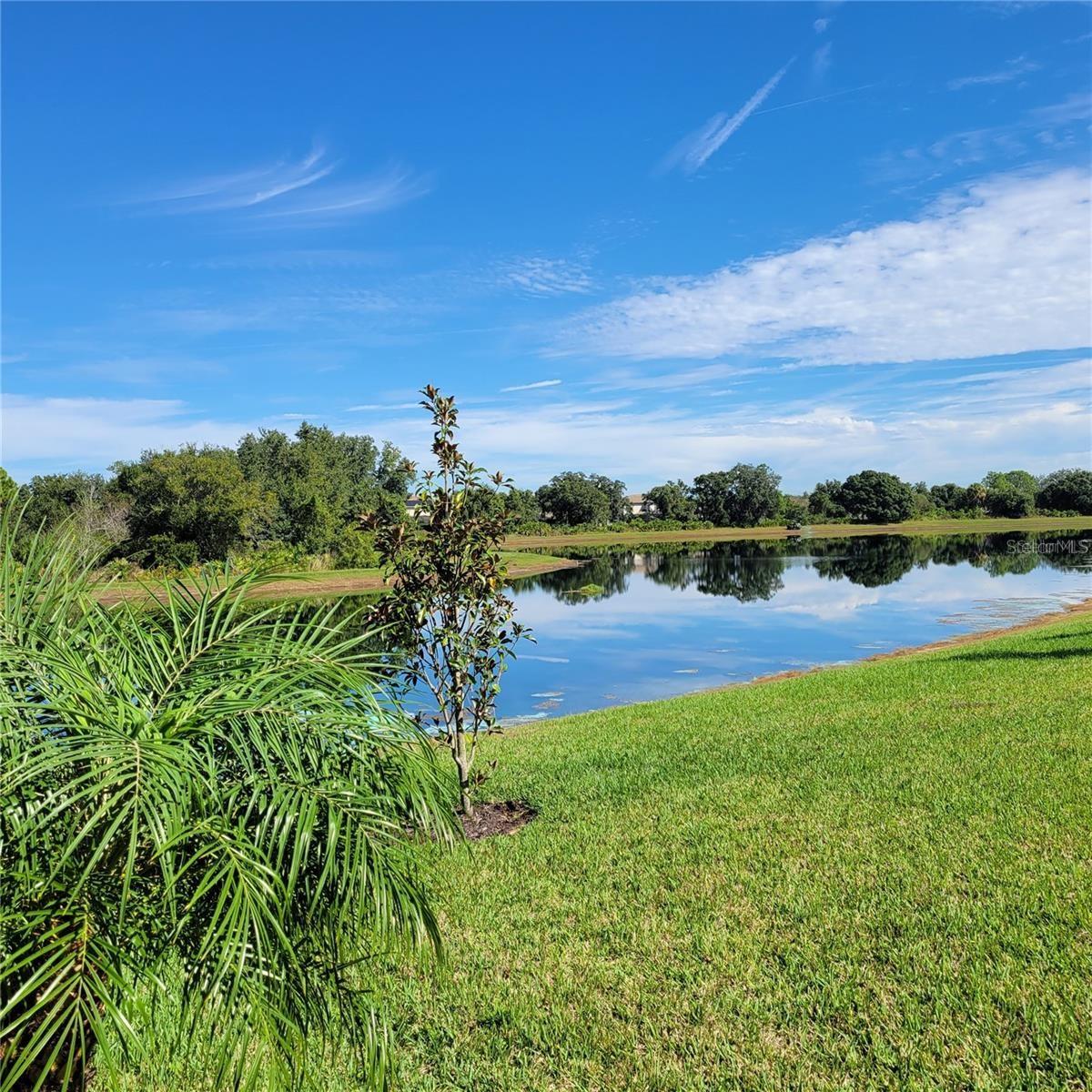 Image 29 of 44 For 17335 Blue Ridge Place