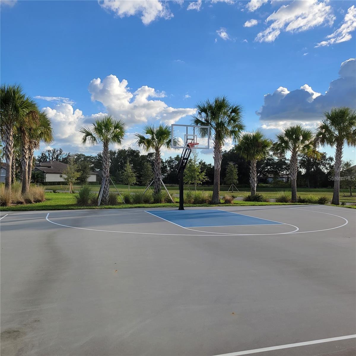 Image 42 of 44 For 17335 Blue Ridge Place