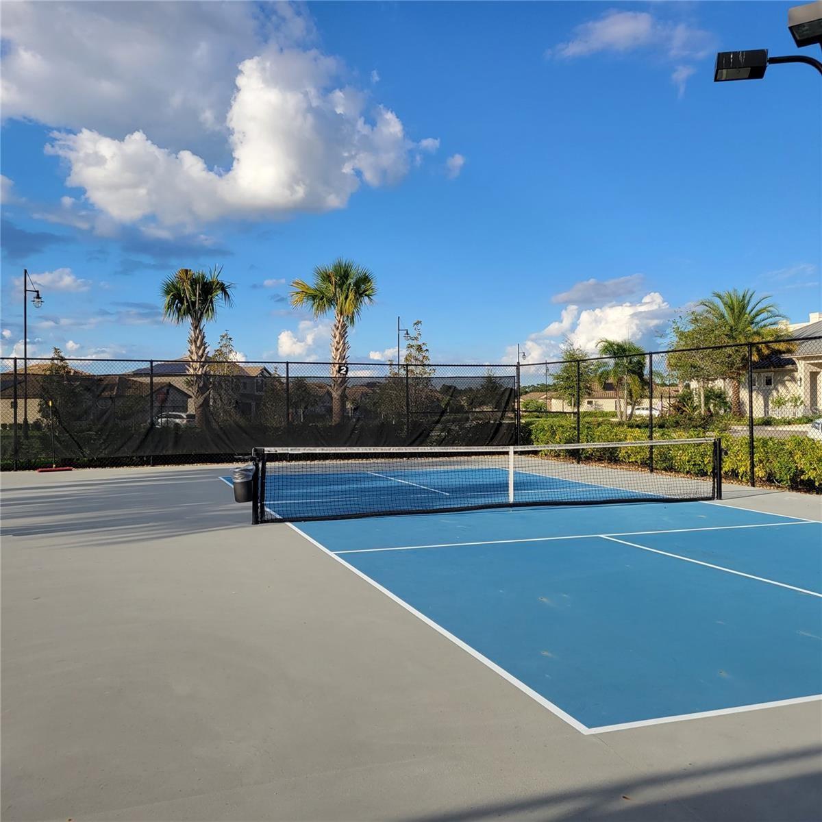 Image 43 of 44 For 17335 Blue Ridge Place