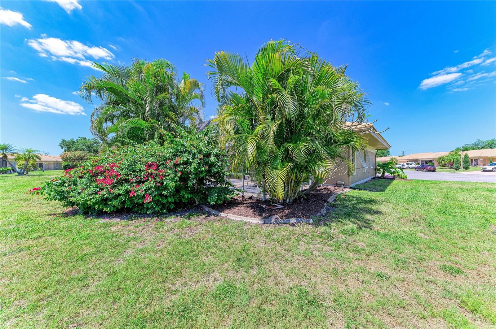 Image 51 of 59 For 3168 Willow Springs Circle