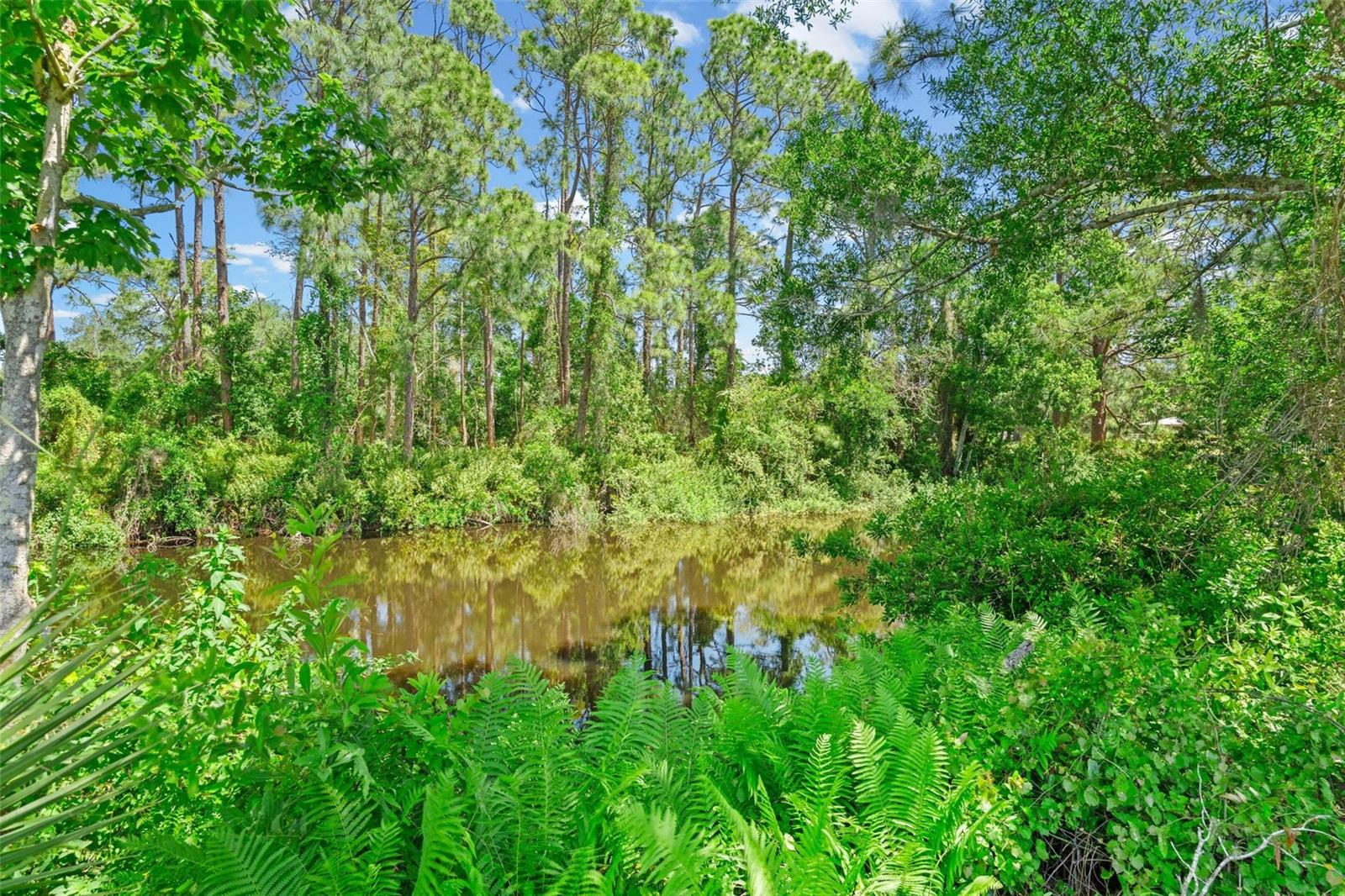 Image 56 of 67 For 7605 Richardson Road