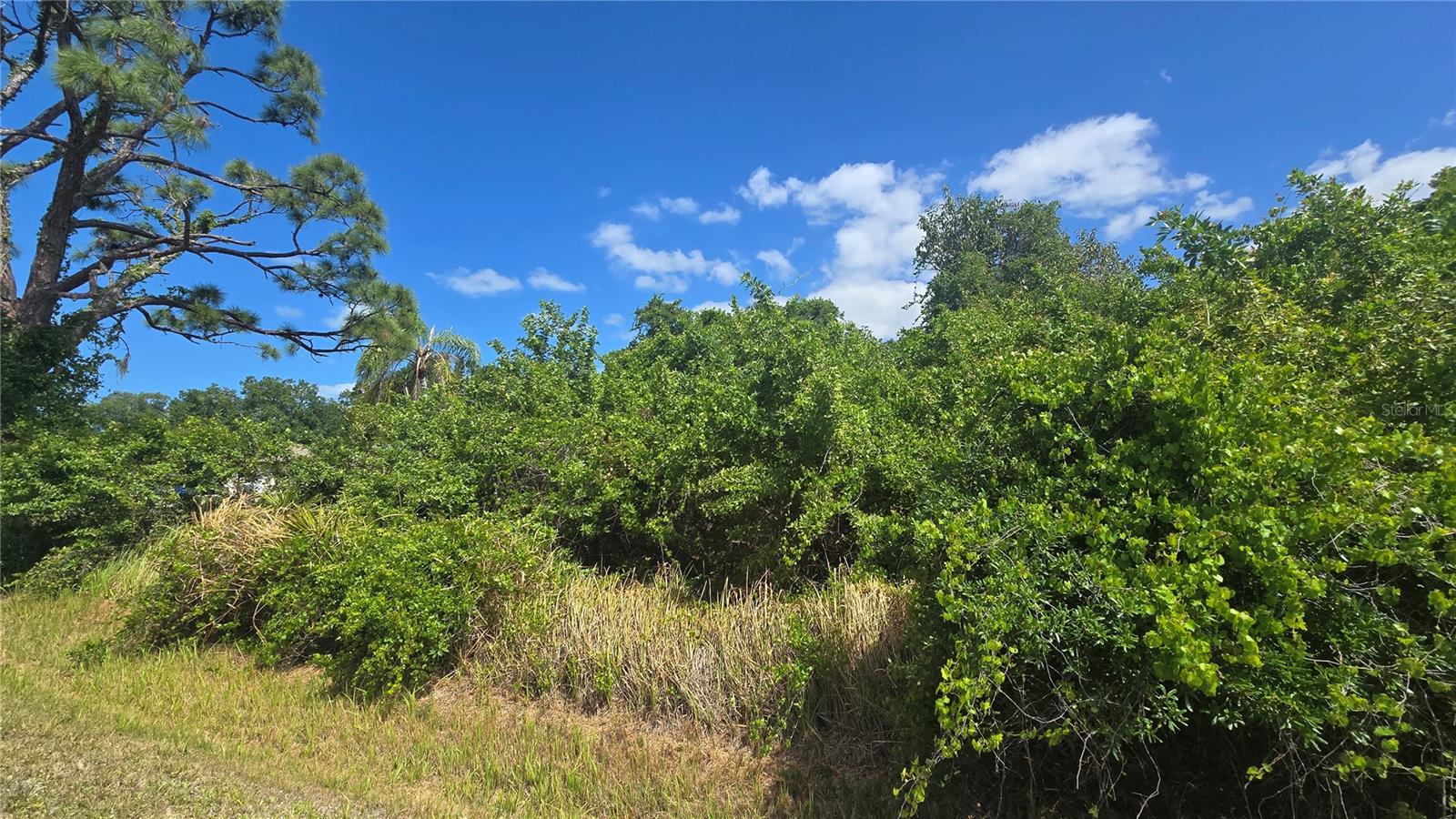 Image 2 of 8 For  Gale Street 