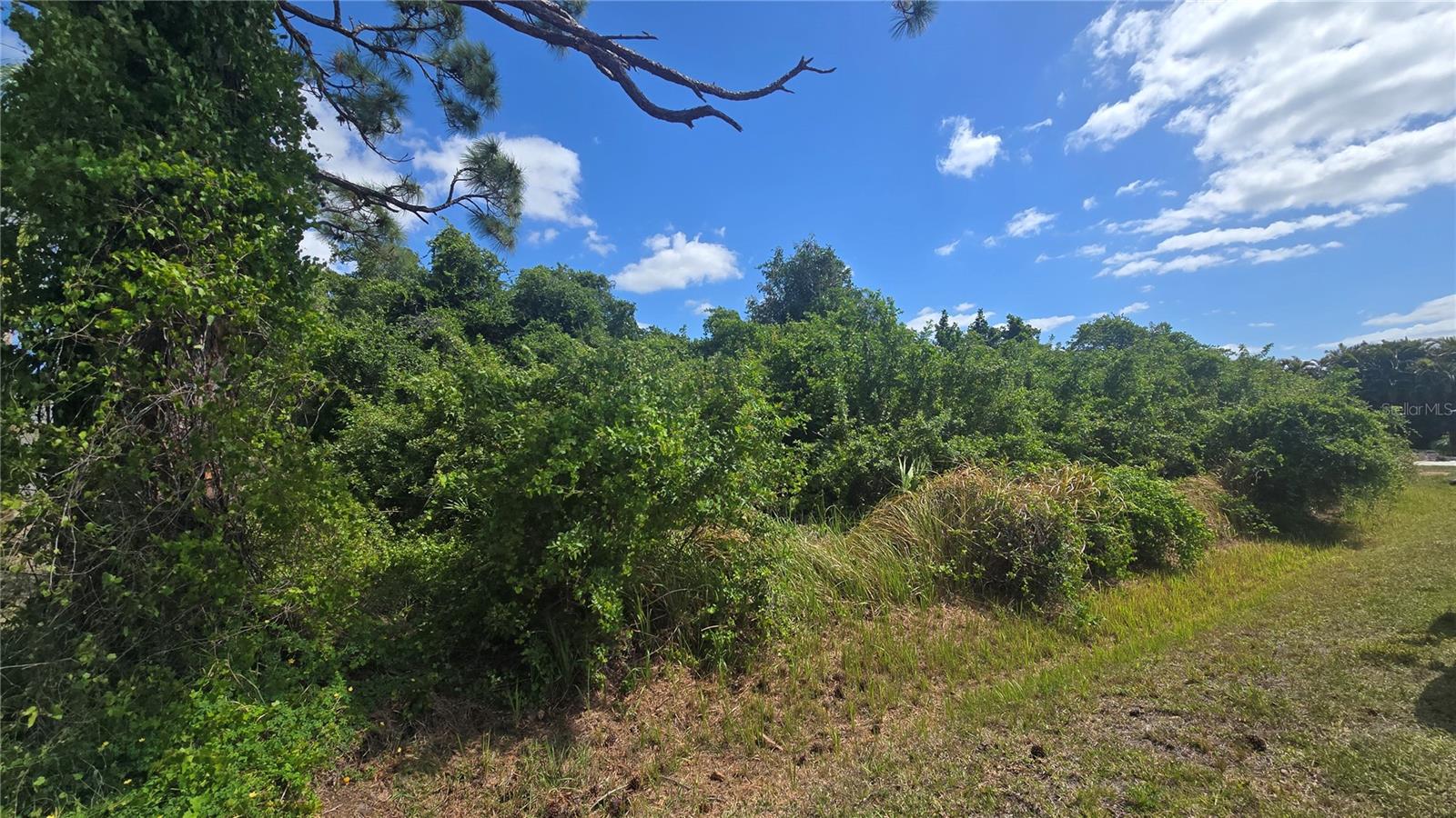 Image 4 of 8 For  Gale Street 