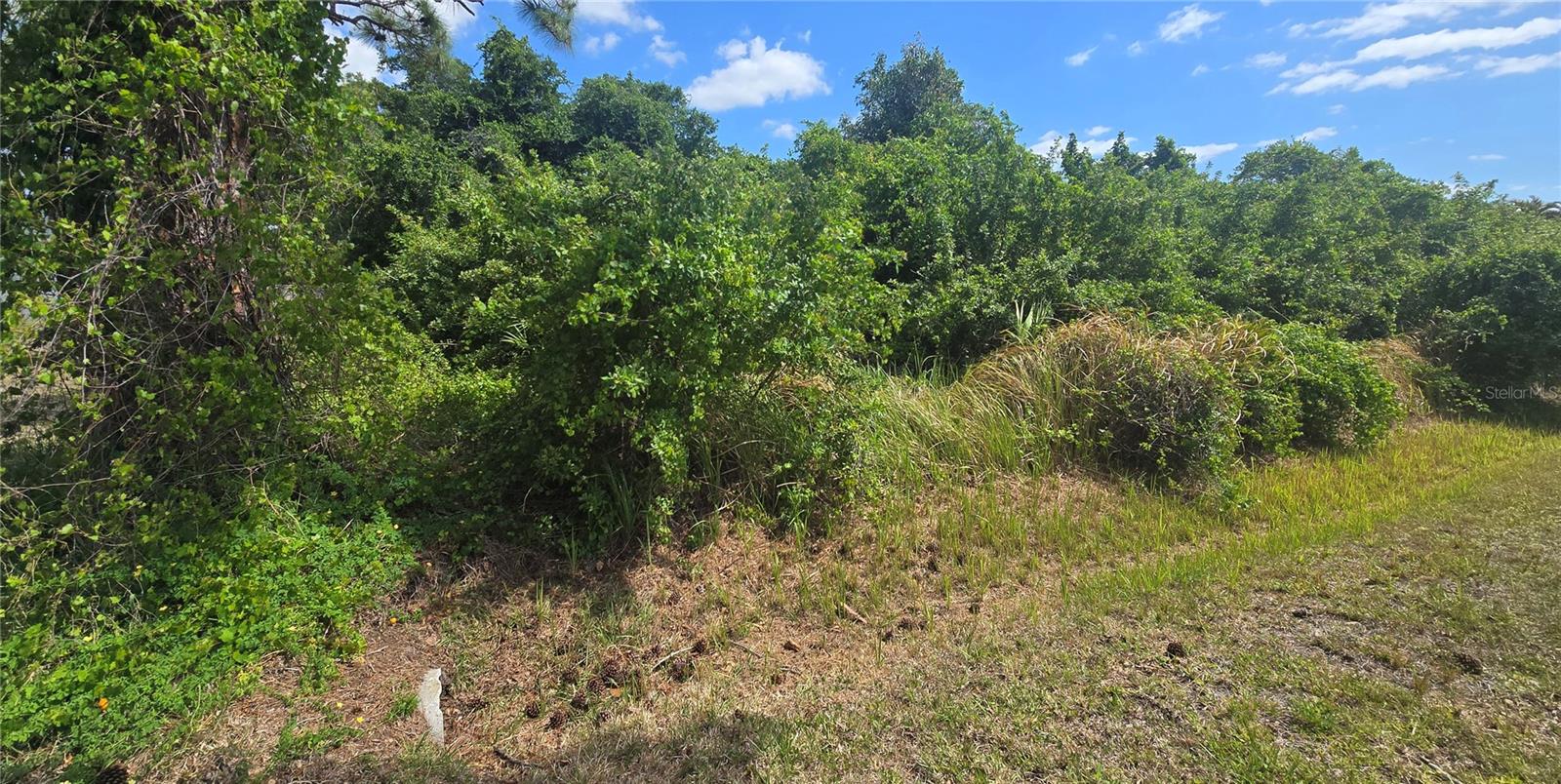 Image 7 of 8 For  Gale Street 