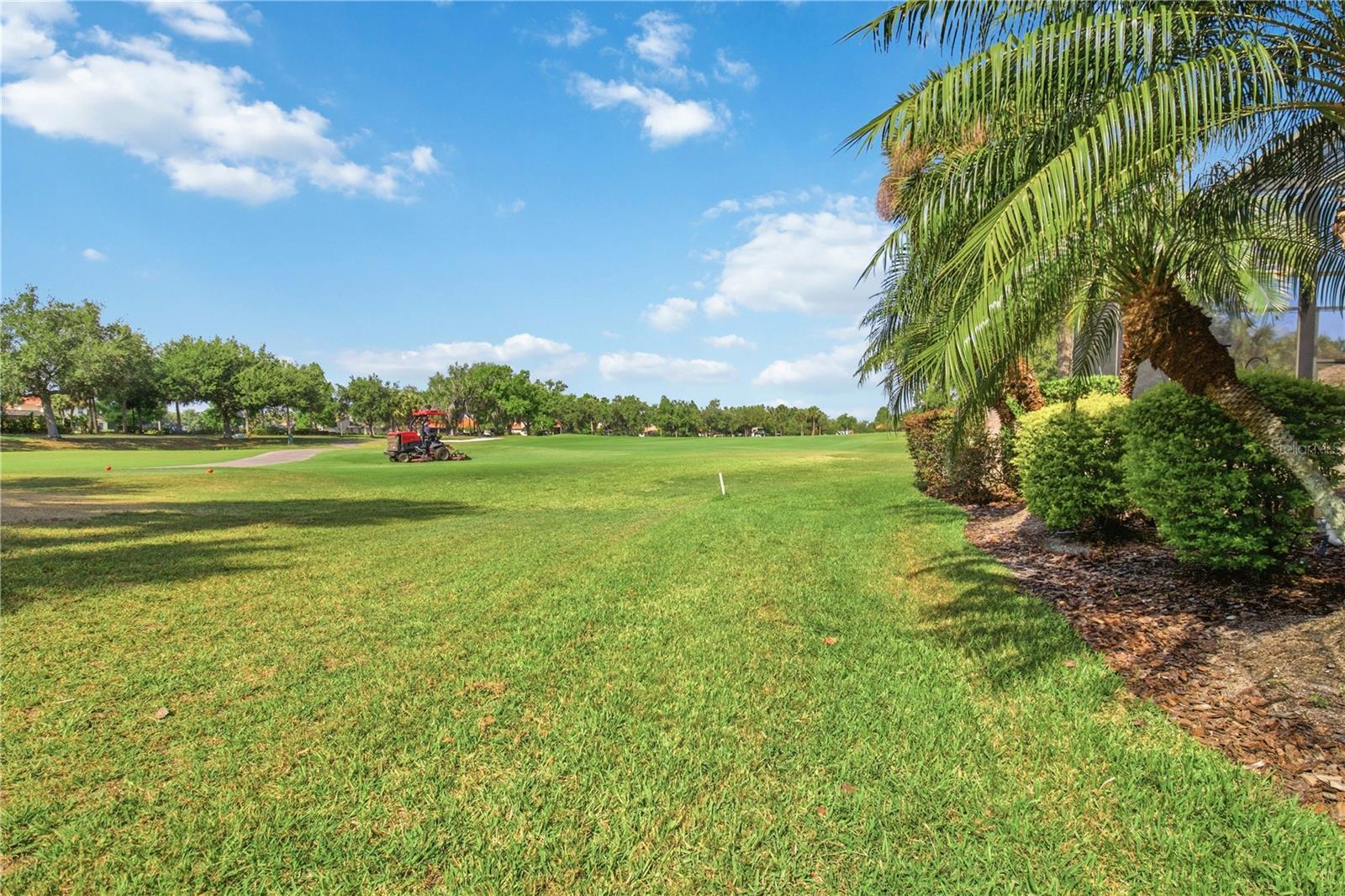 Listing photo id 56 for 10212 Discovery Terrace