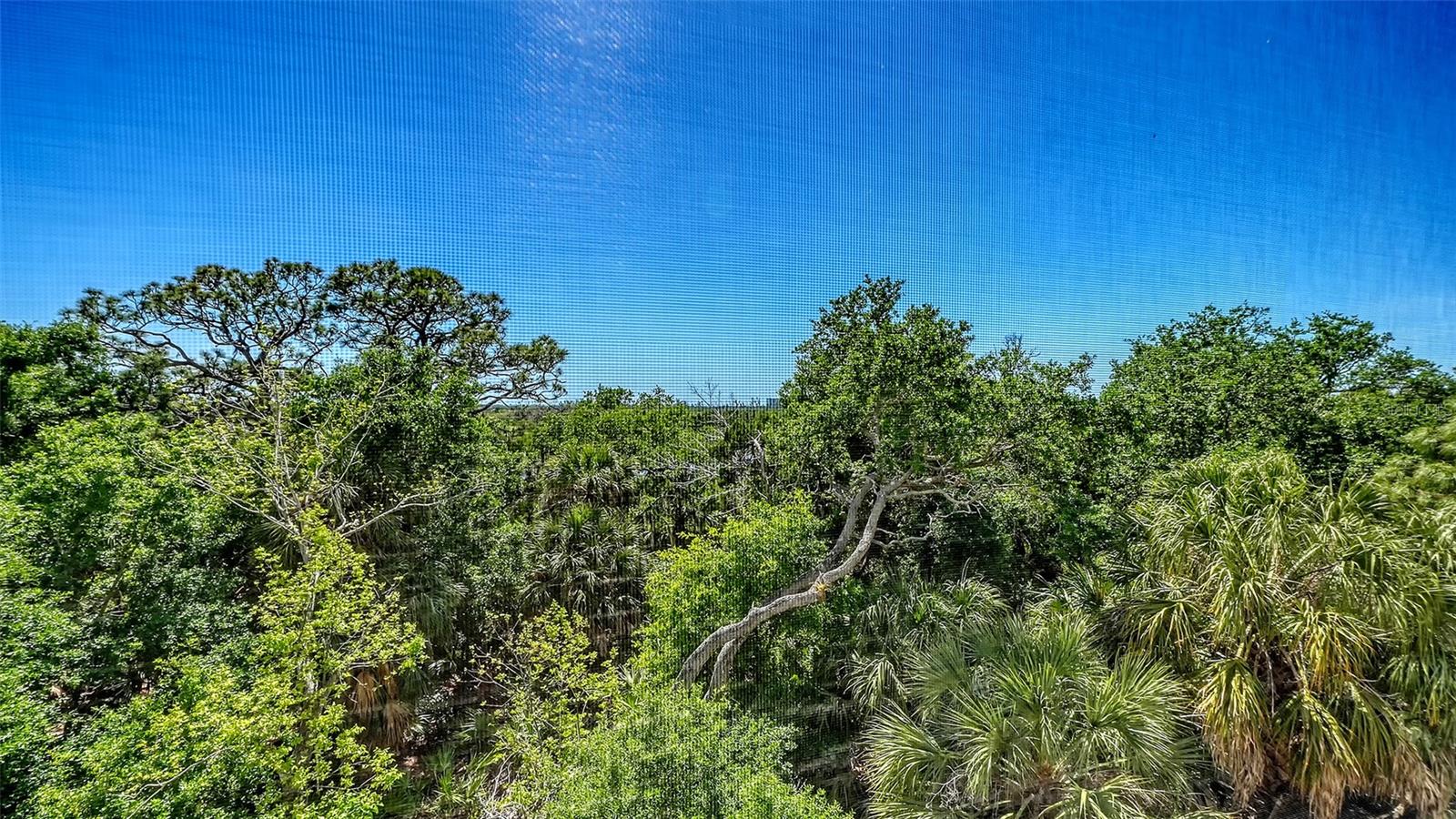 Image 13 of 90 For 409 North Point Road 401