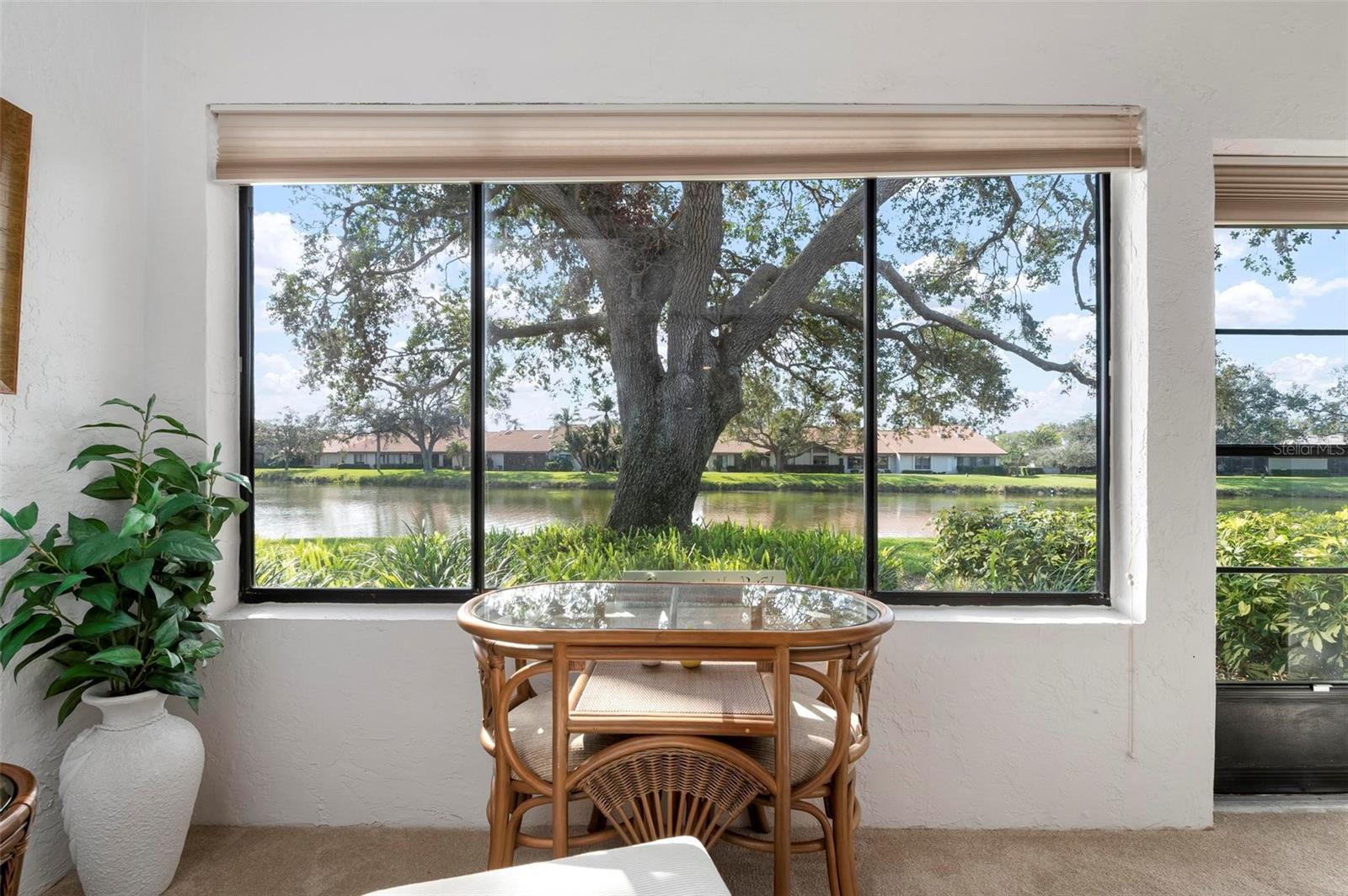 Image 15 of 66 For 3896 Wilshire Drive 11