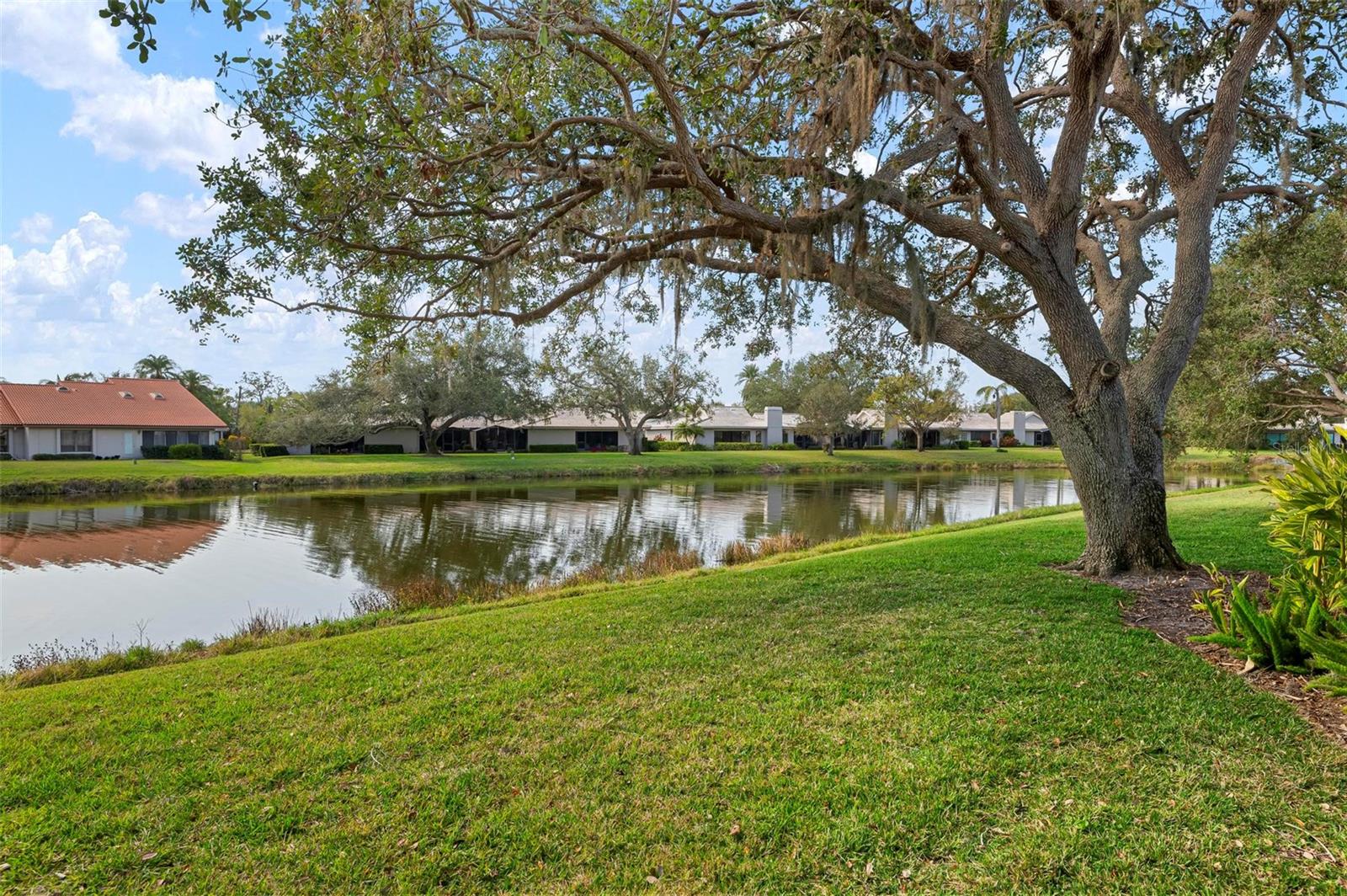 Image 38 of 66 For 3896 Wilshire Drive 11