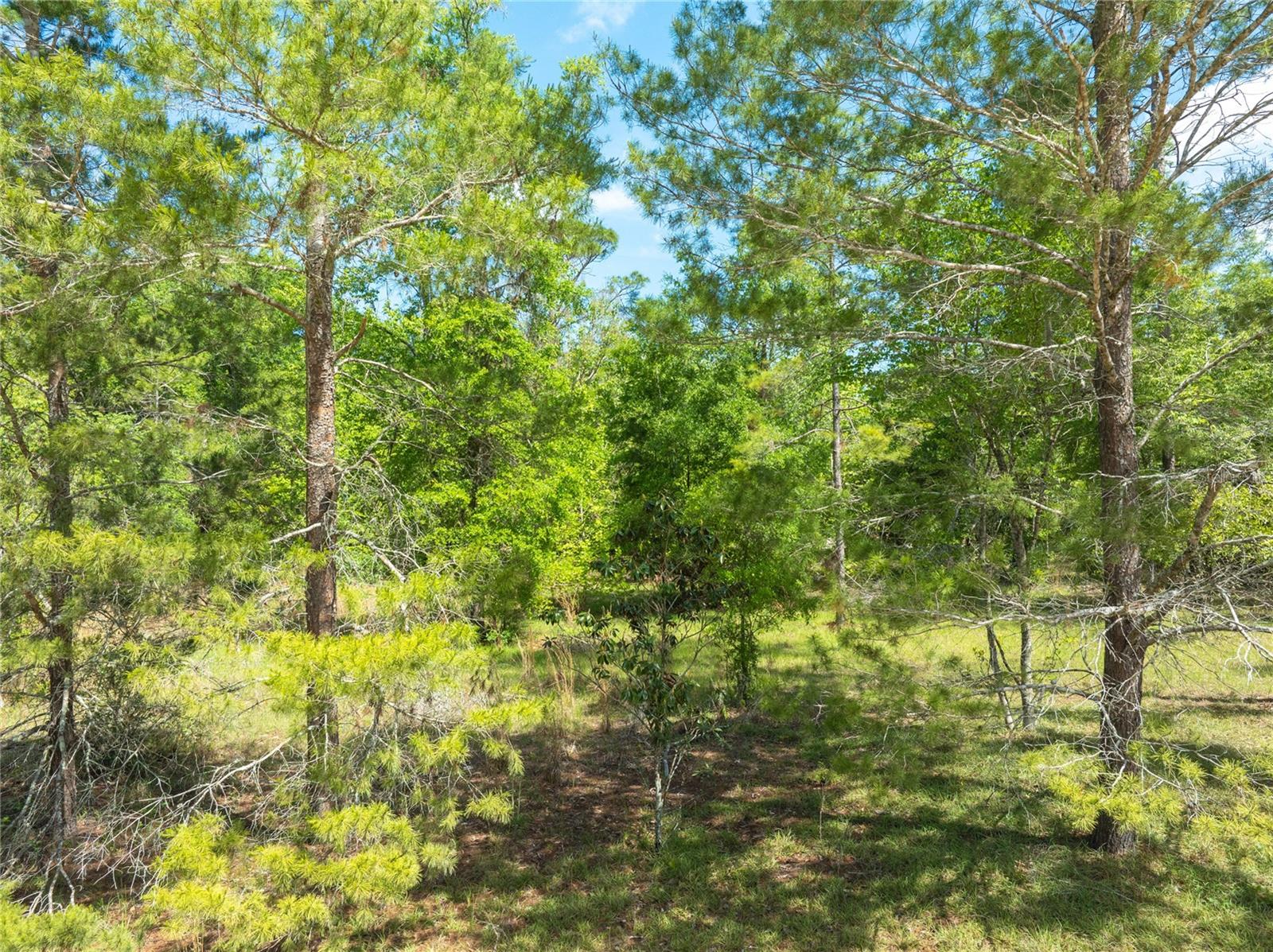 Image 8 of 10 For 0 Pine Way  