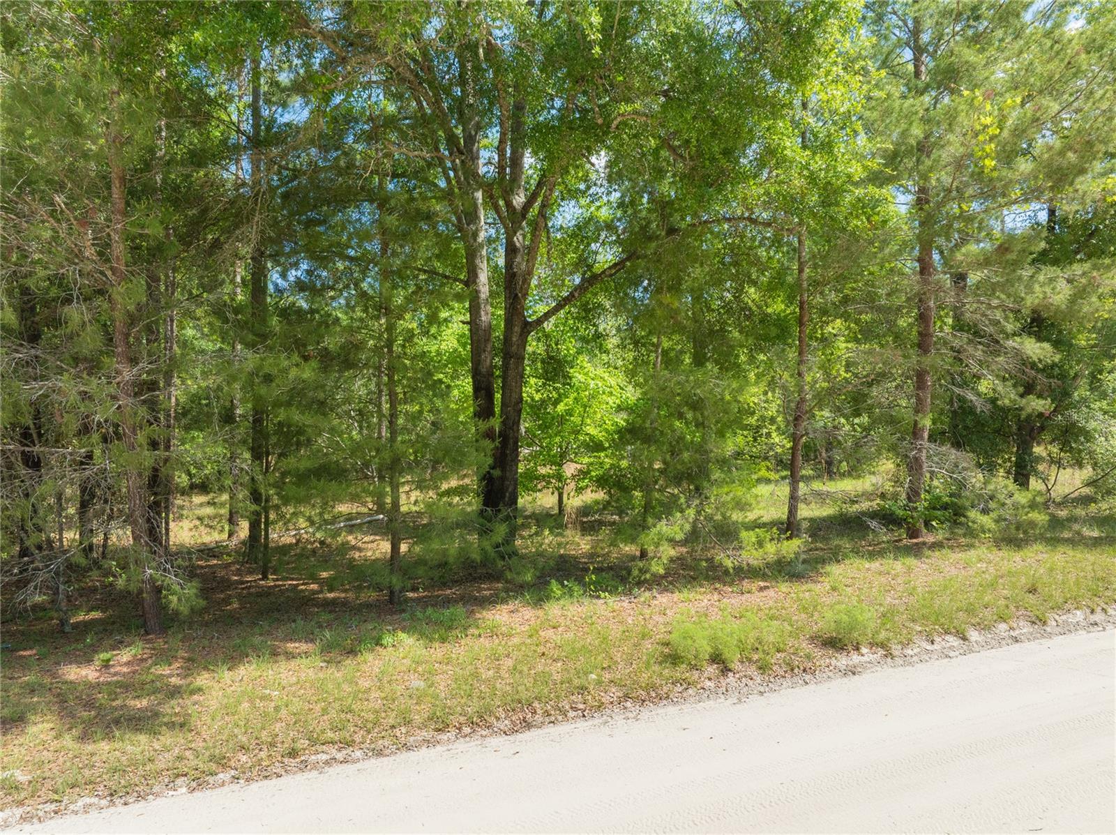 Image 9 of 10 For 0 Pine Way  