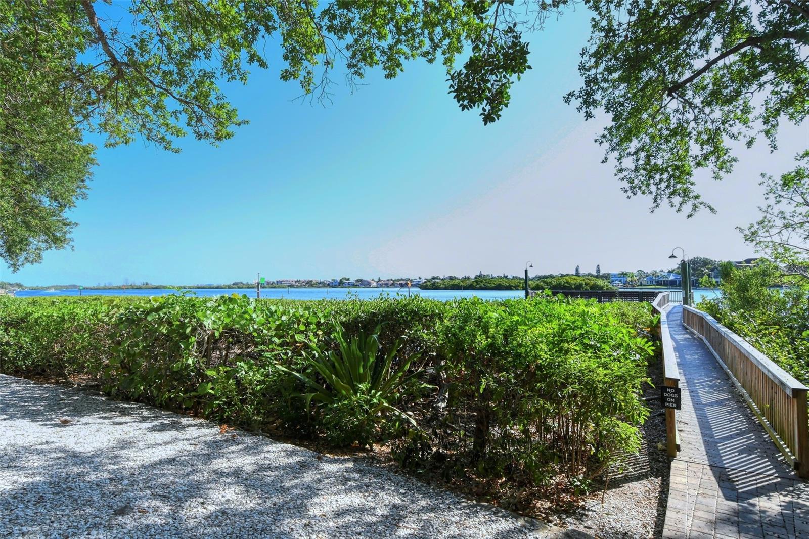 Image 55 of 56 For 1080 Peppertree Lane 305a