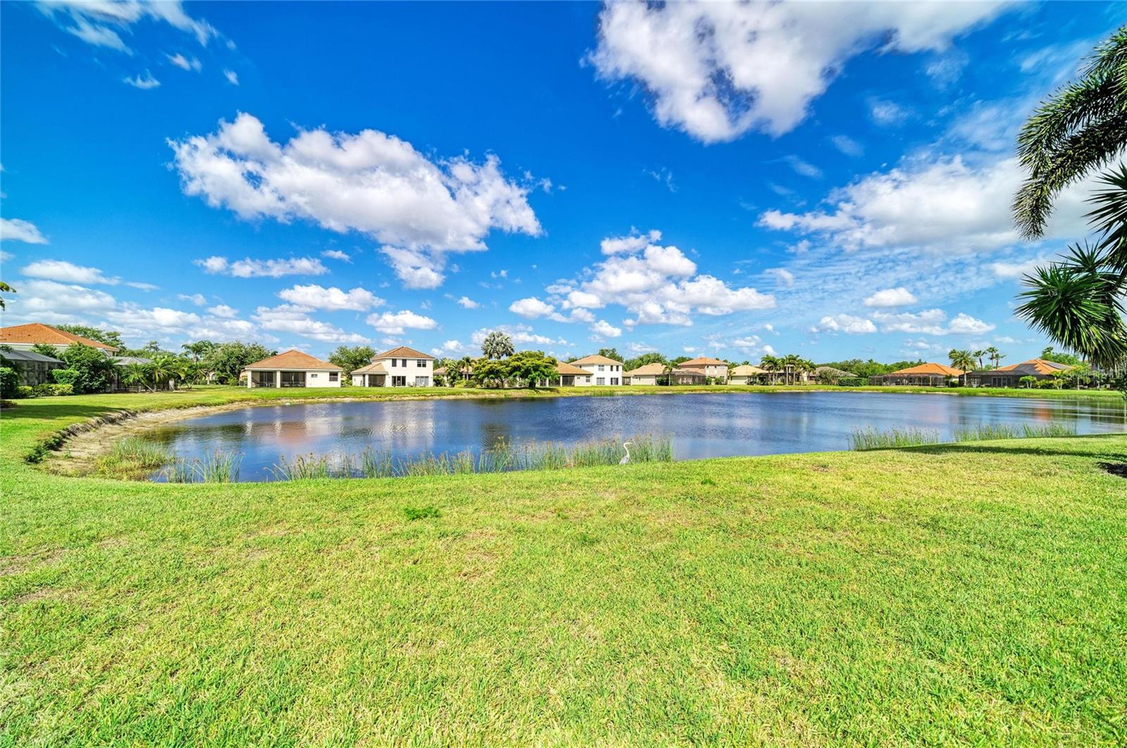 Image 41 of 56 For 9035 Willowbrook Circle