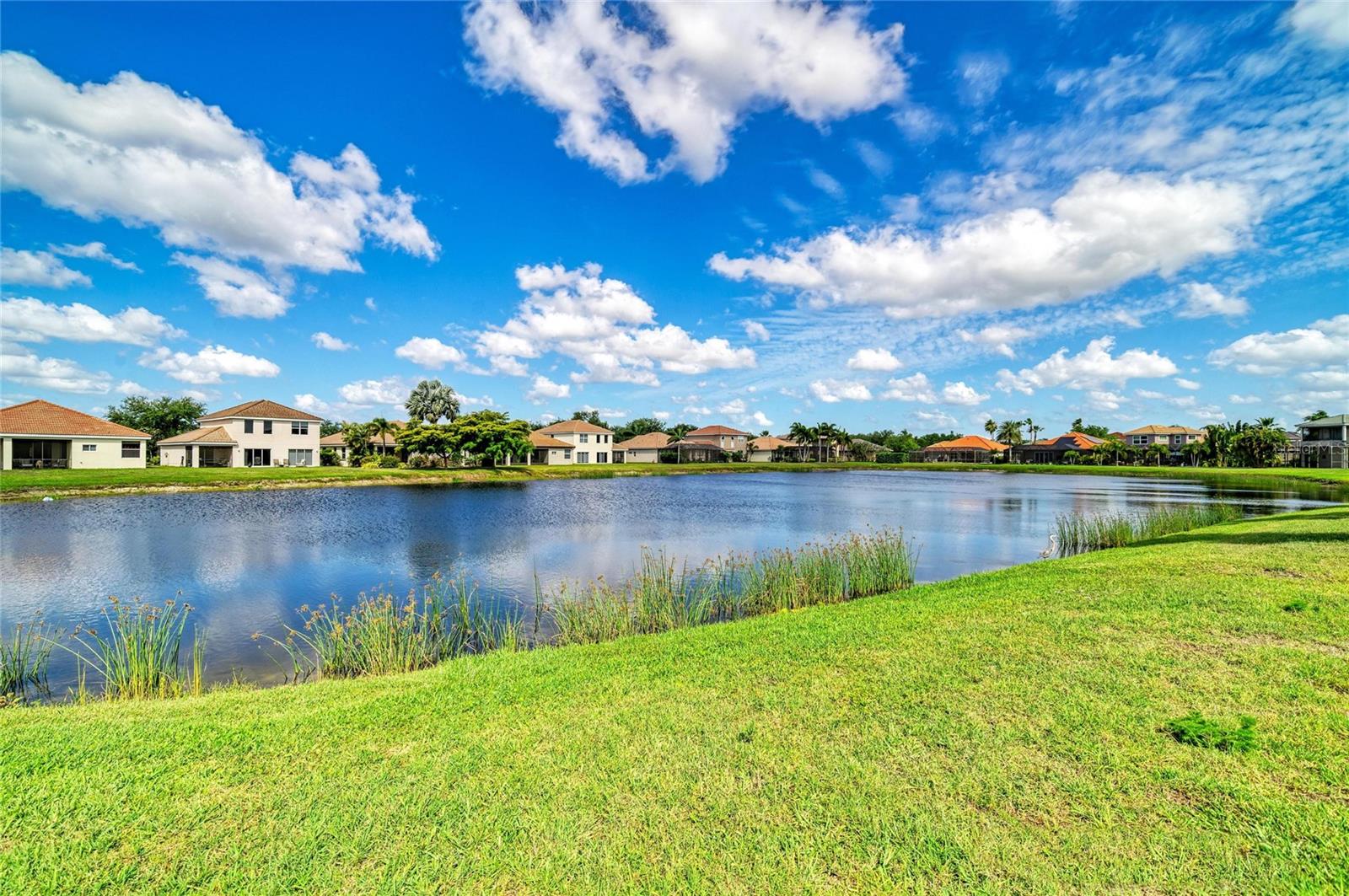 Image 42 of 56 For 9035 Willowbrook Circle