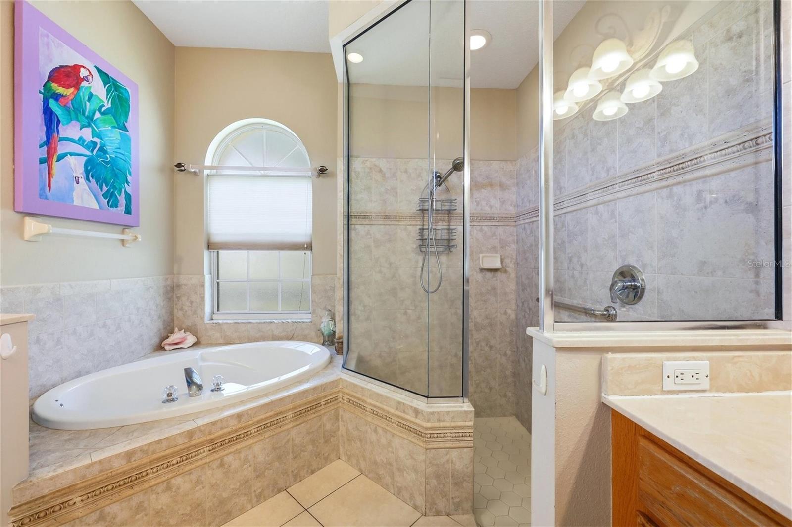 Image 20 of 40 For 7210 Switchgrass Trail