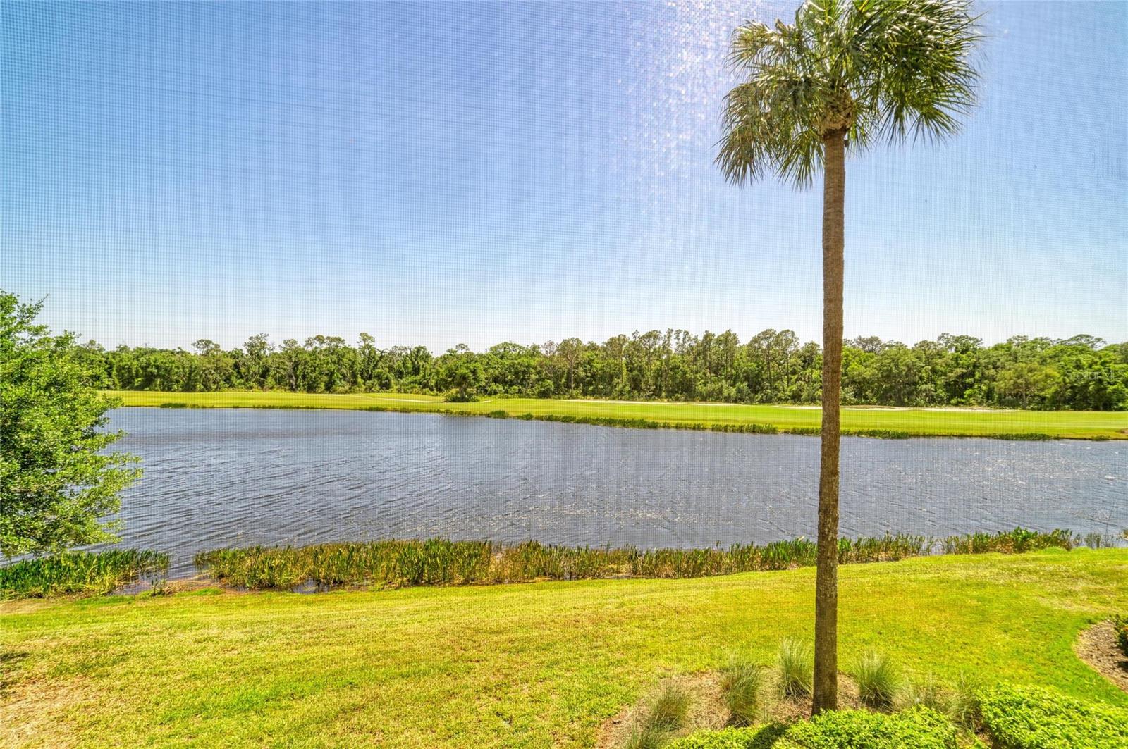 Image 33 of 71 For 17520 Gawthrop Drive 202