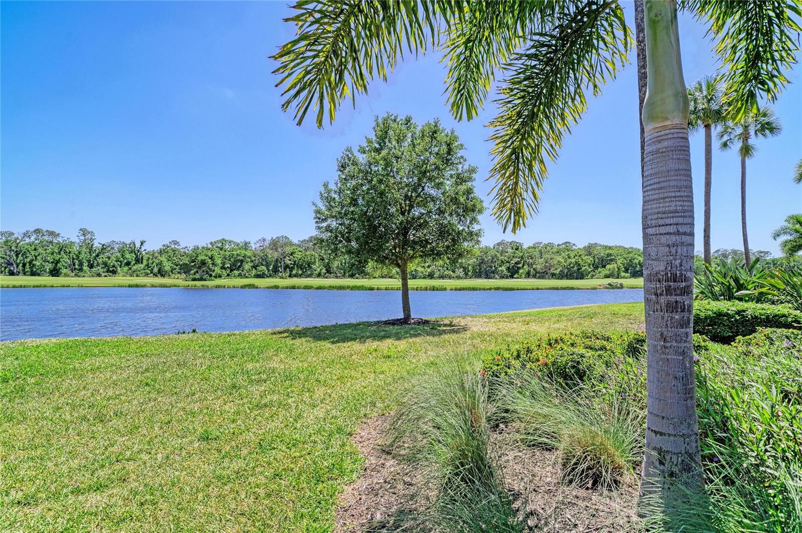Image 34 of 71 For 17520 Gawthrop Drive 202