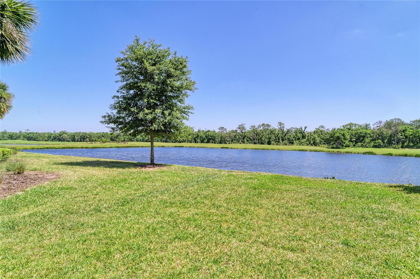 Image 35 of 71 For 17520 Gawthrop Drive 202