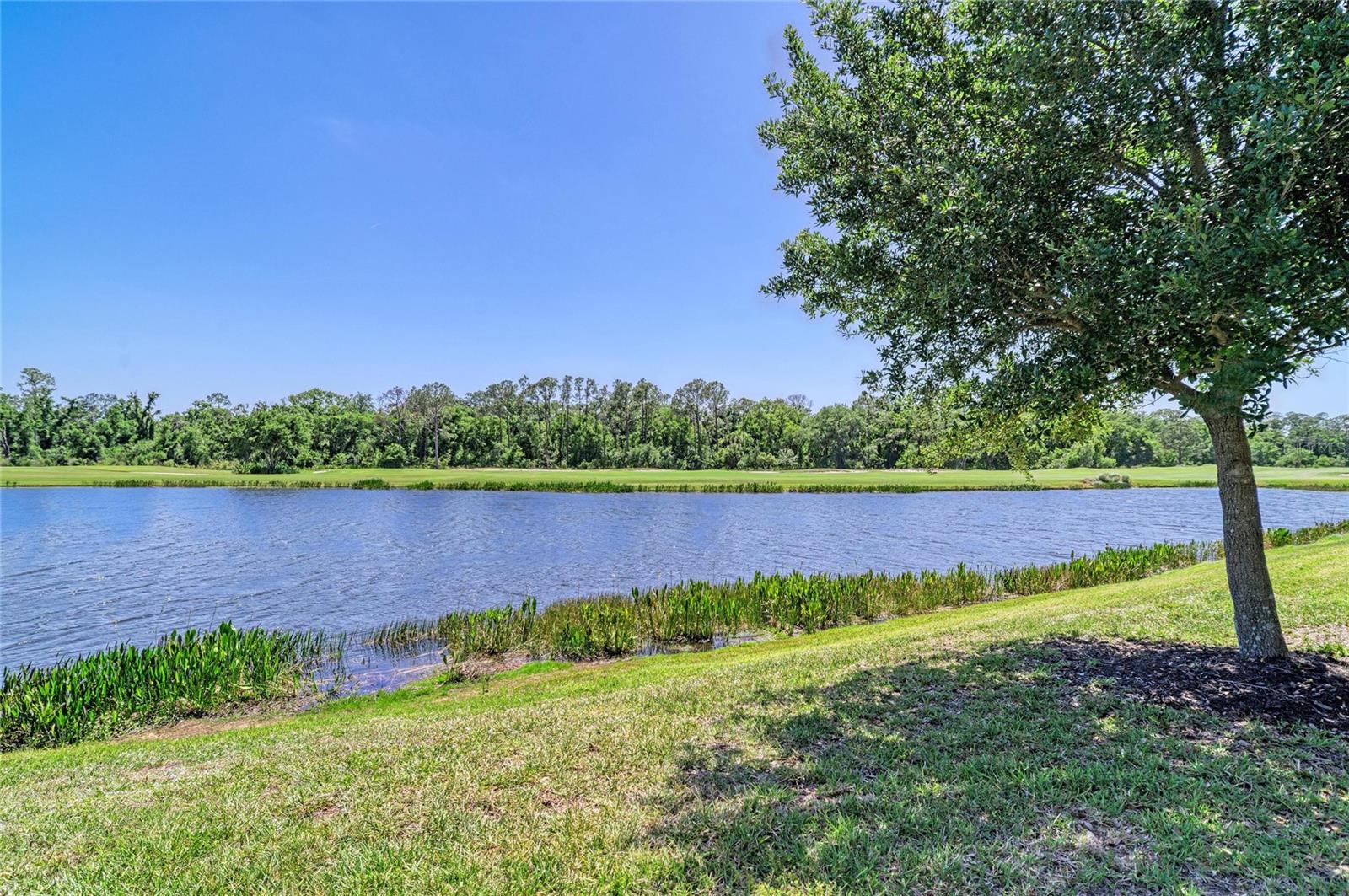 Image 36 of 71 For 17520 Gawthrop Drive 202