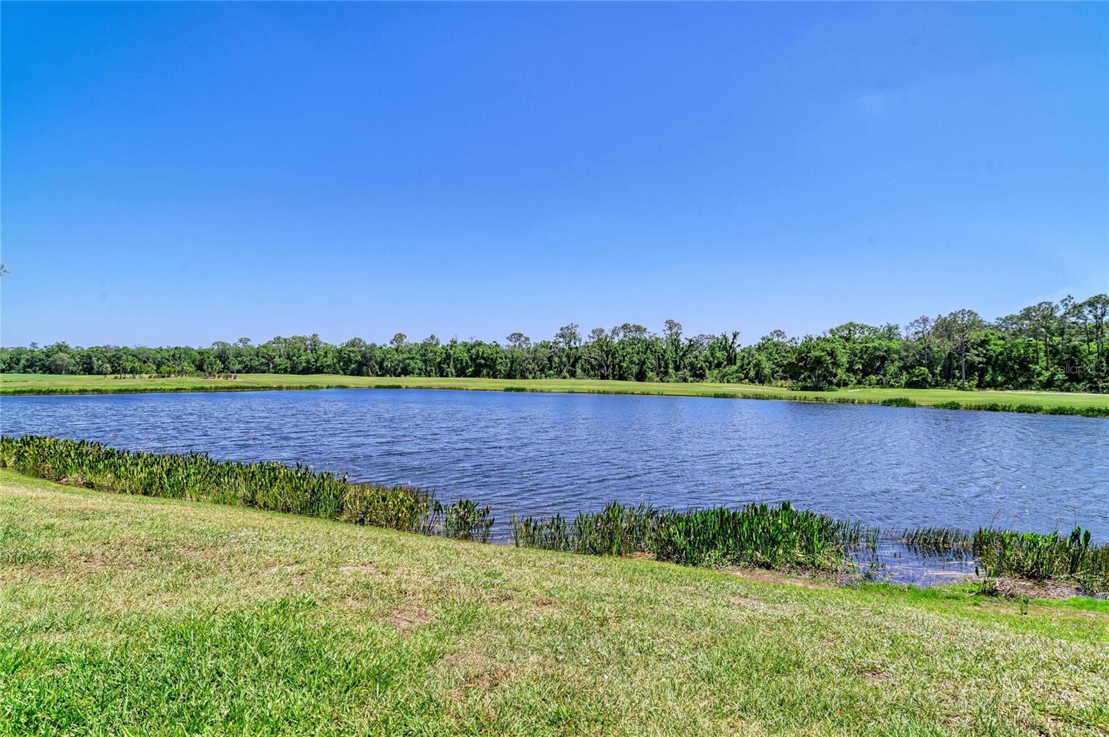 Image 37 of 71 For 17520 Gawthrop Drive 202