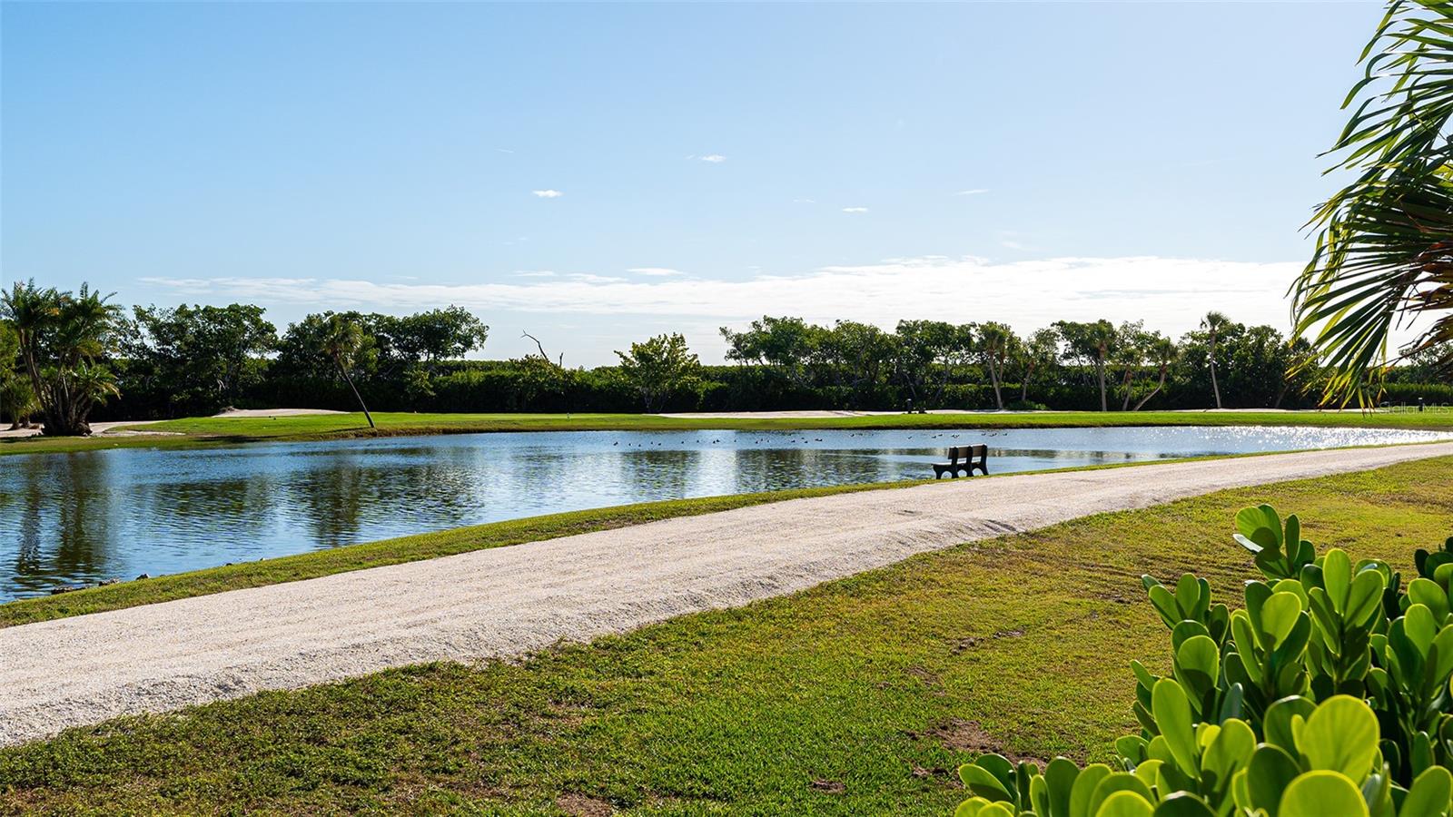 Image 60 of 75 For 3060 Grand Bay Boulevard 172