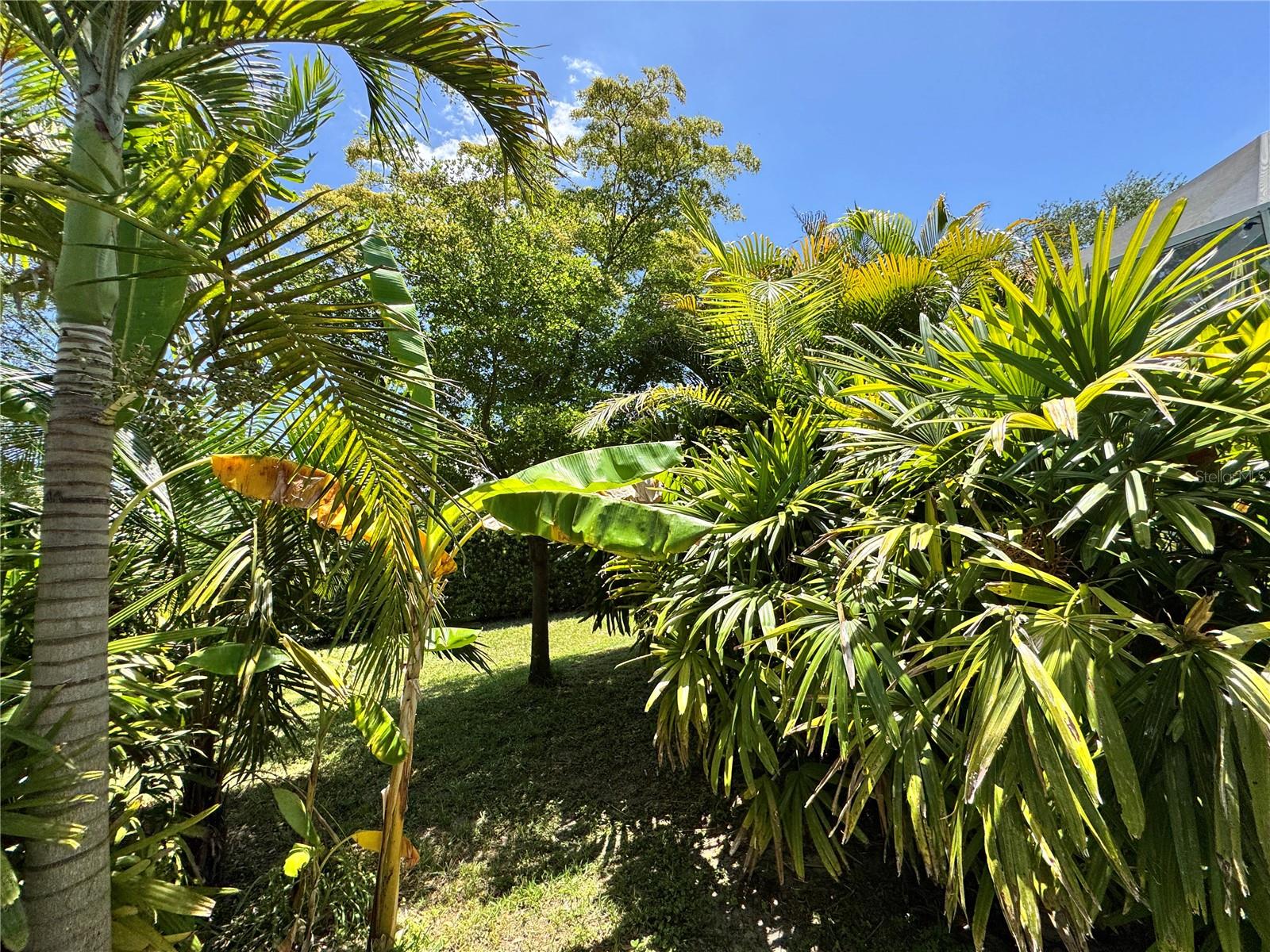 Image 19 of 33 For 6207 Tupelo Trail