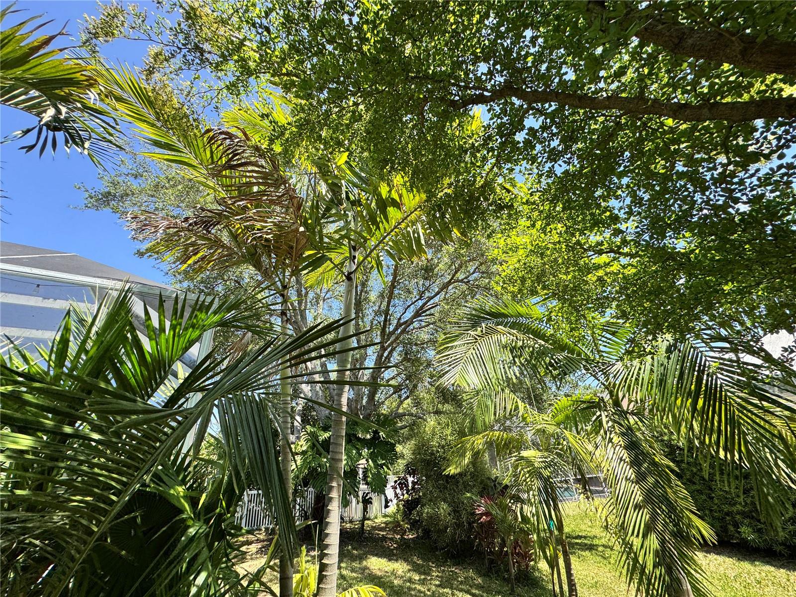 Image 21 of 33 For 6207 Tupelo Trail