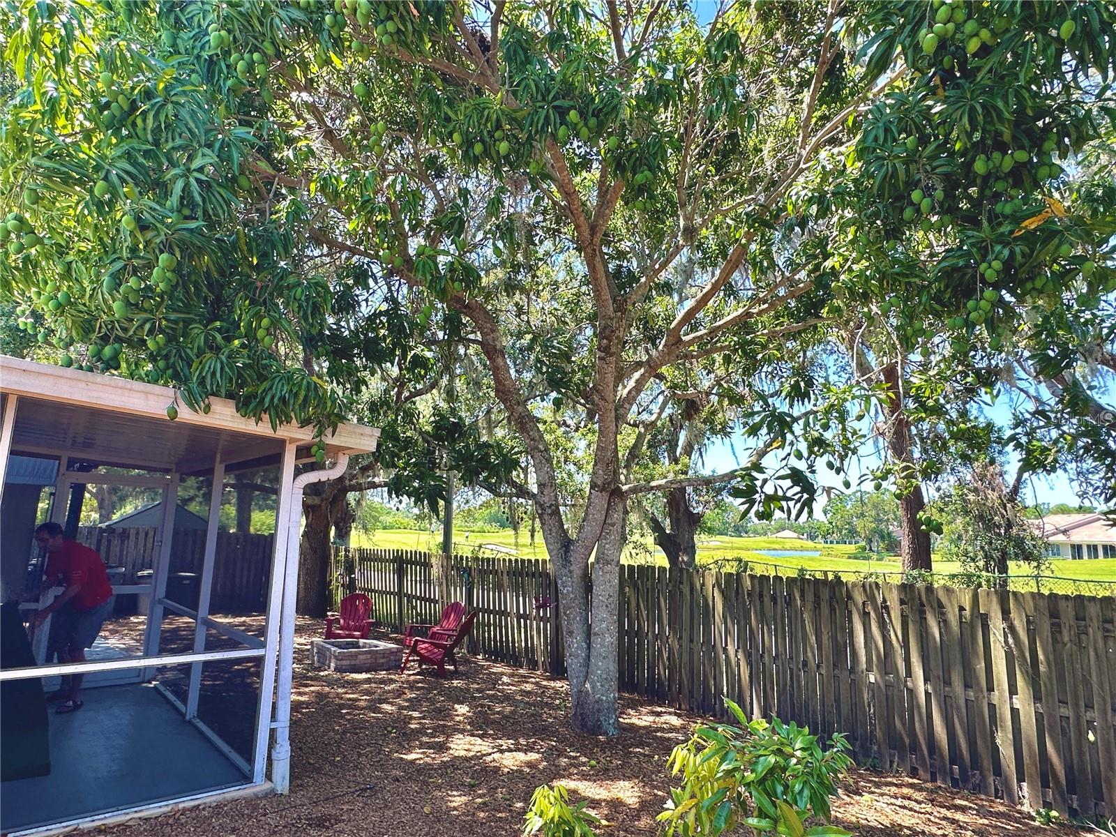 Image 34 of 43 For 2757 Feiffer Circle