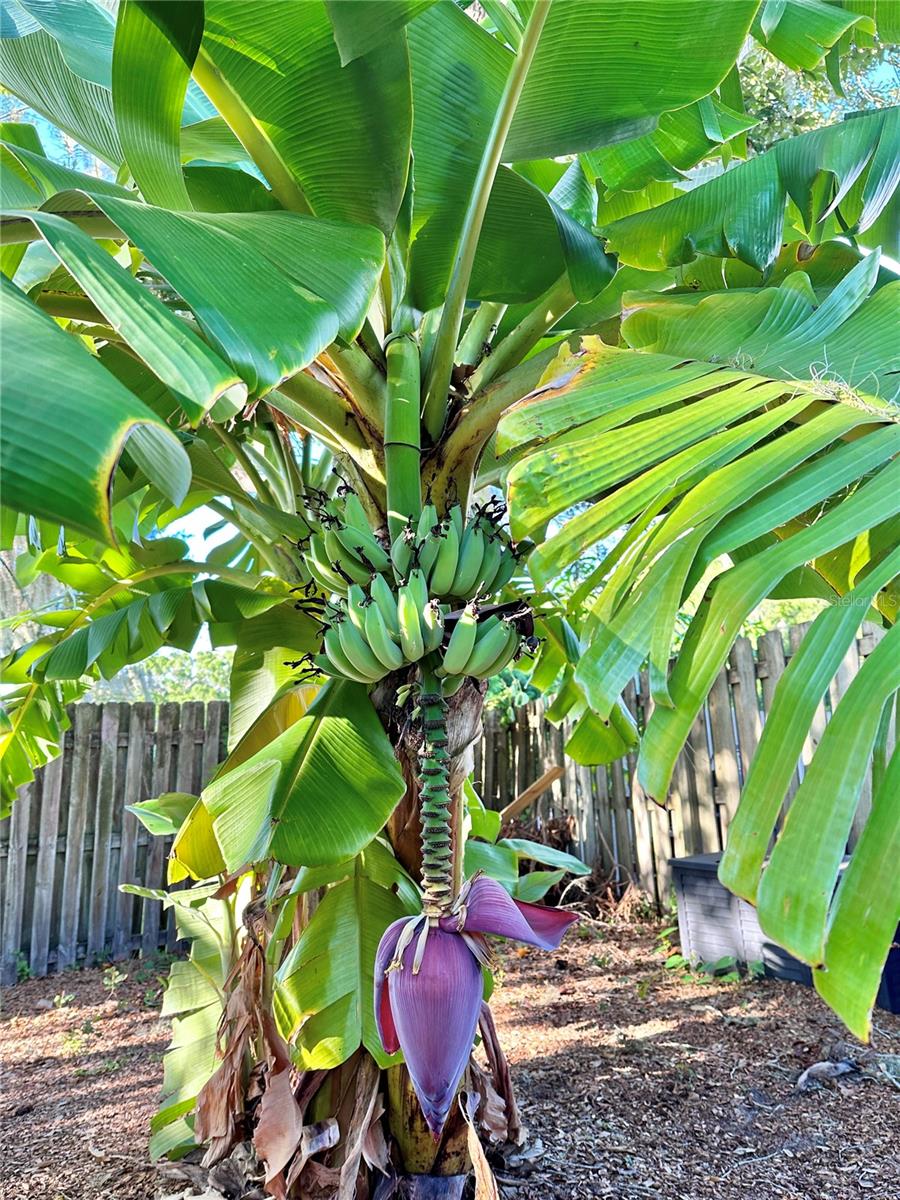 Image 38 of 43 For 2757 Feiffer Circle