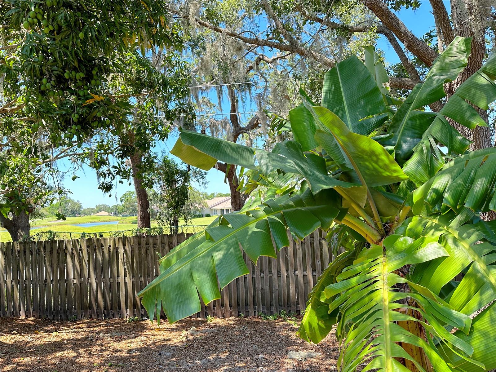 Image 39 of 43 For 2757 Feiffer Circle