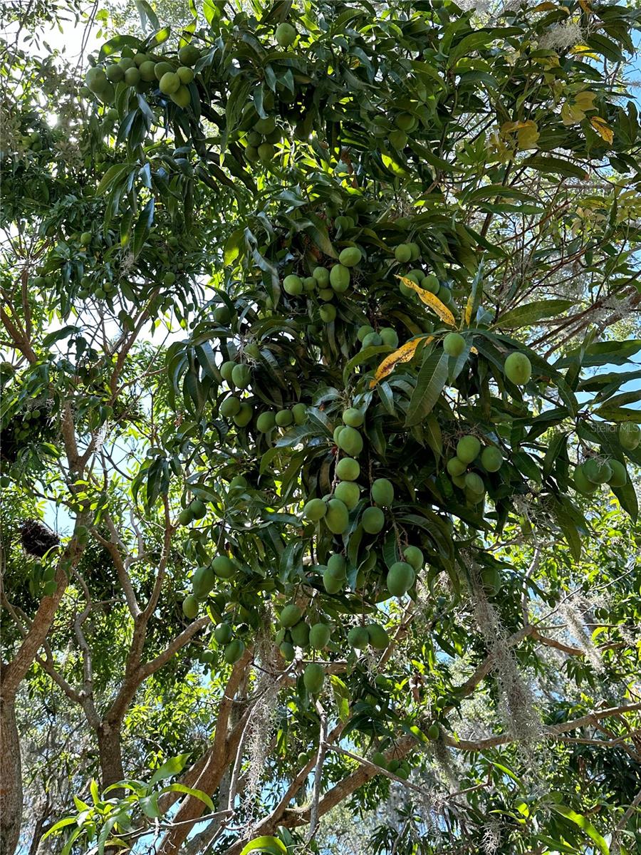 Image 40 of 43 For 2757 Feiffer Circle