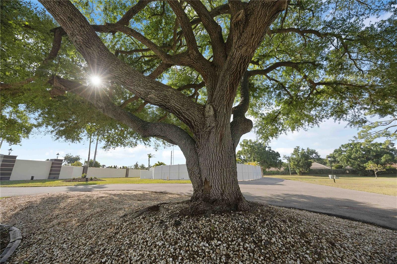 Image 43 of 51 For 38 Pebble Rock Drive
